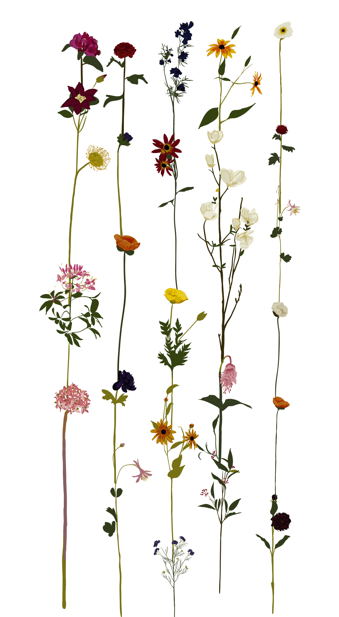 Minimalist Floral Wallpapers - Top Free Minimalist Floral Backgrounds