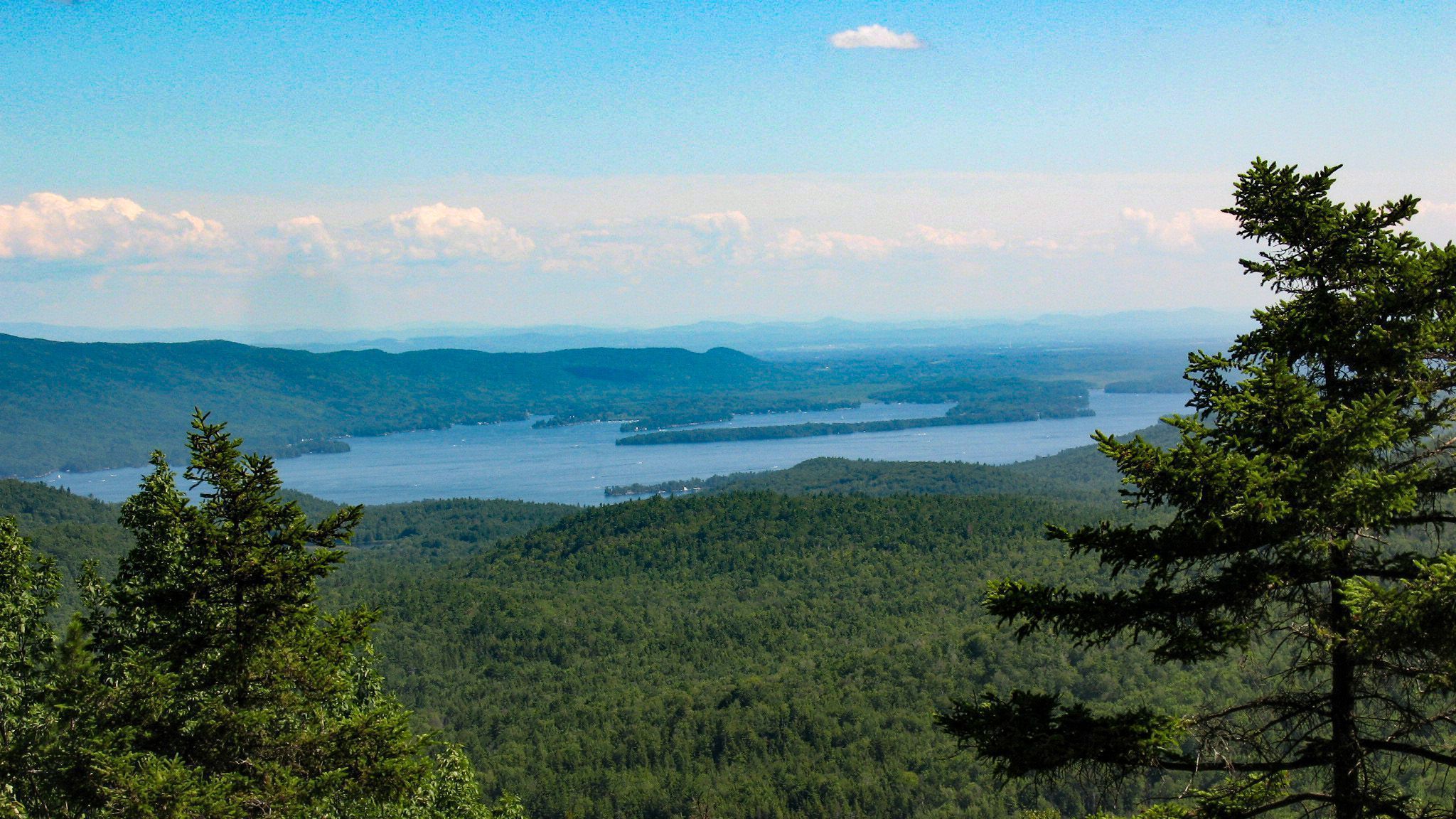 2048x1152 Discovery Series: Trees of the Lake George Watershed George Land Conservancy
