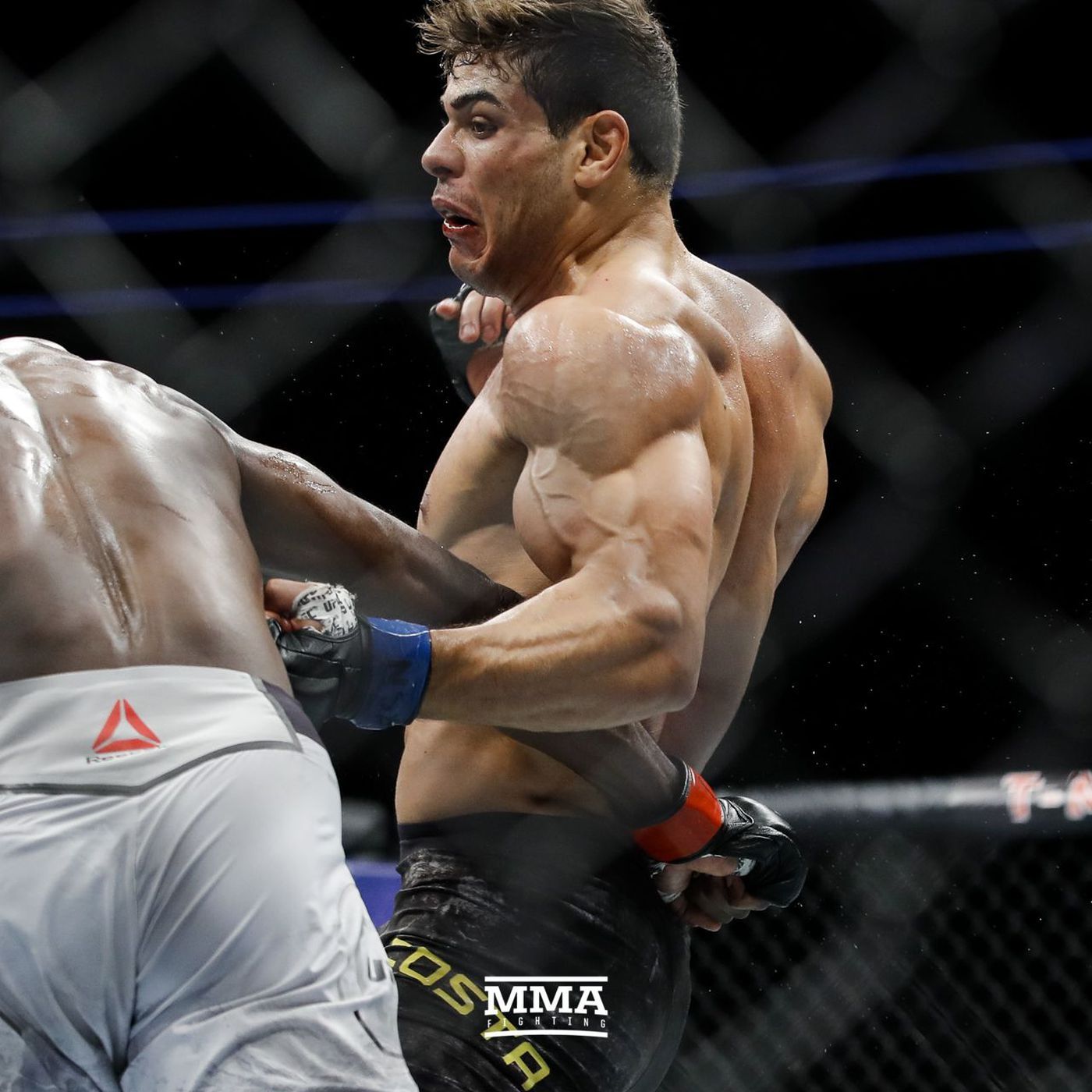 1400x1400 Paulo Costa Wallpaper