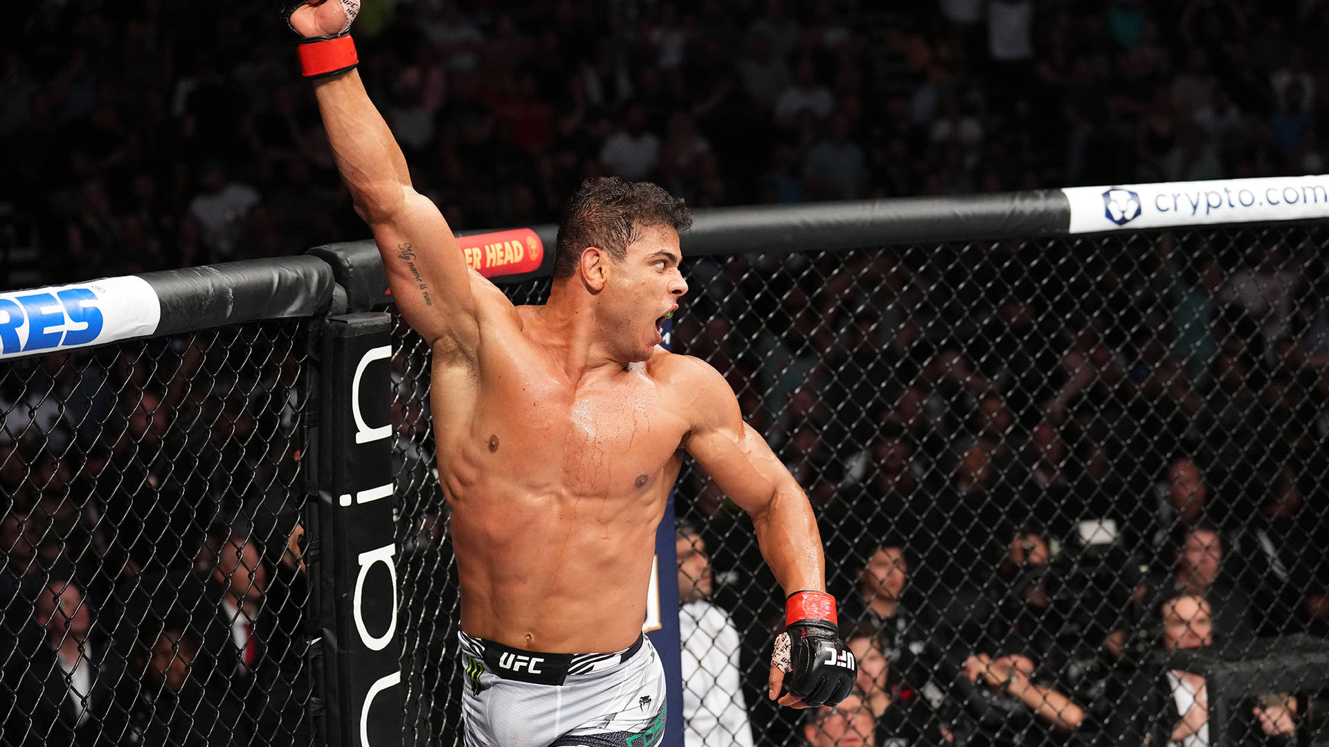 1920x1080 Download Paulo Costa Shouting During Match Wallpaper