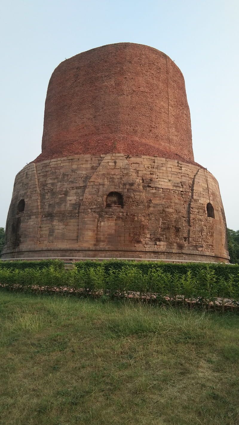 800x1422 HD dhamek stupa wallpaper