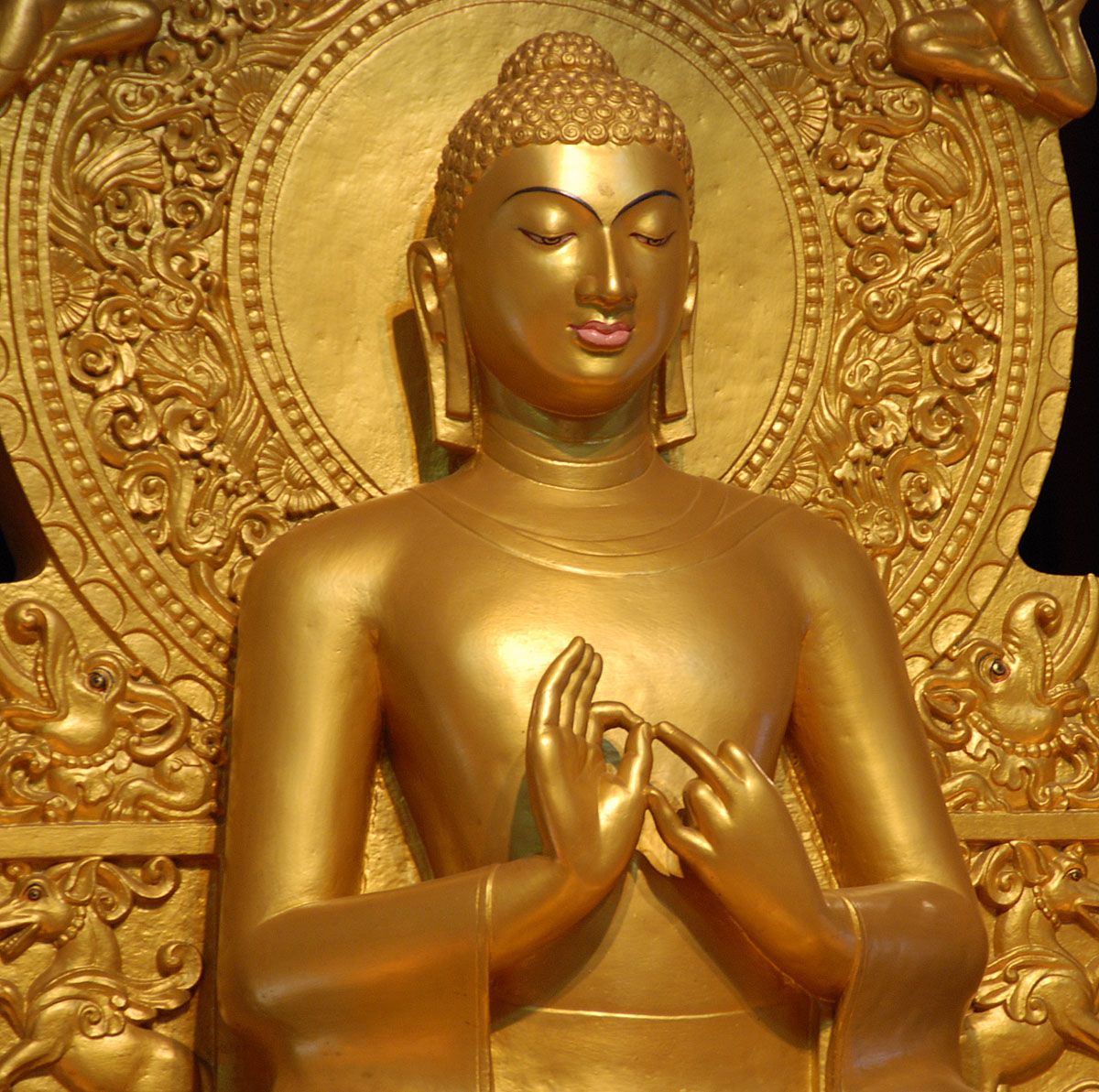 1200x1193 Destination: Sarnath