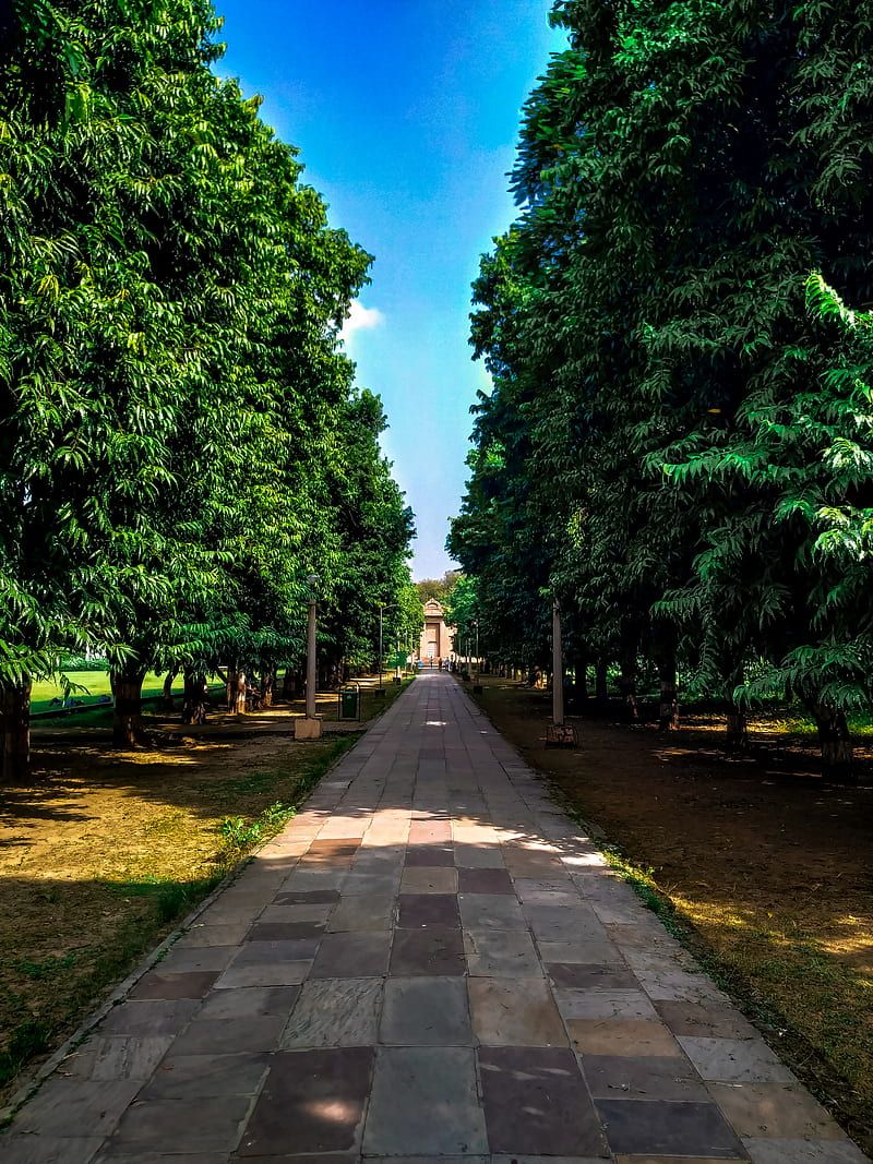800x1067 HD sarnath wallpaper