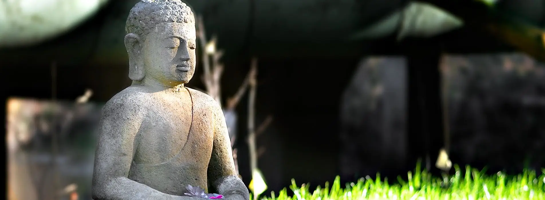1903x700 Sarnath, Uttar Pradesh
