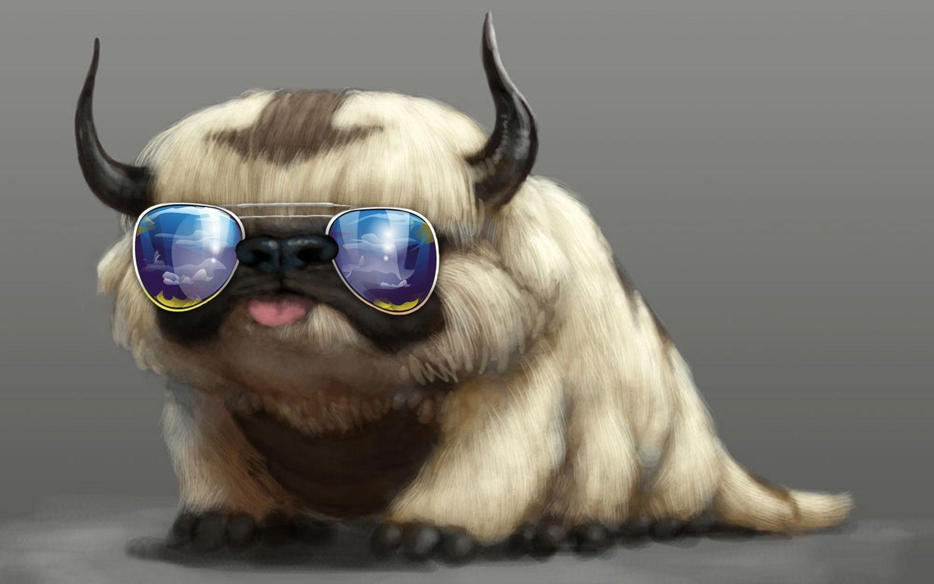 1920x1200 Ugly Dog Wallpaper
