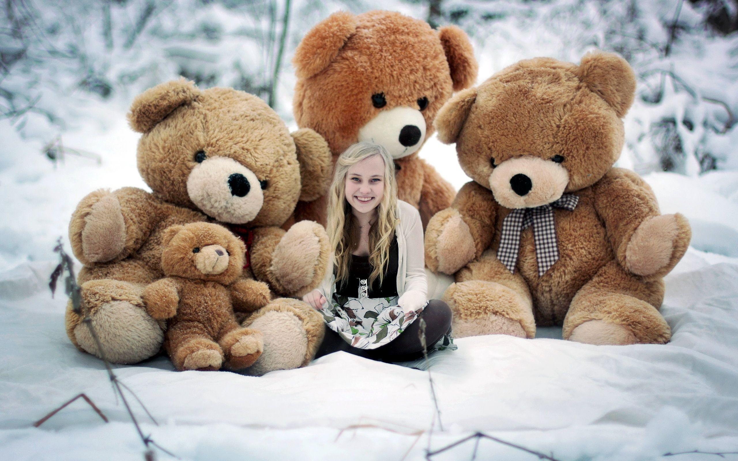 2560x1600 Stuffed Animal Wallpaper