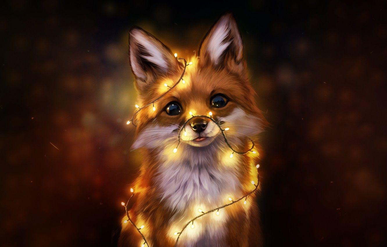 Winter fox 1080P 2K 4K 5K HD wallpapers free download  Wallpaper Flare