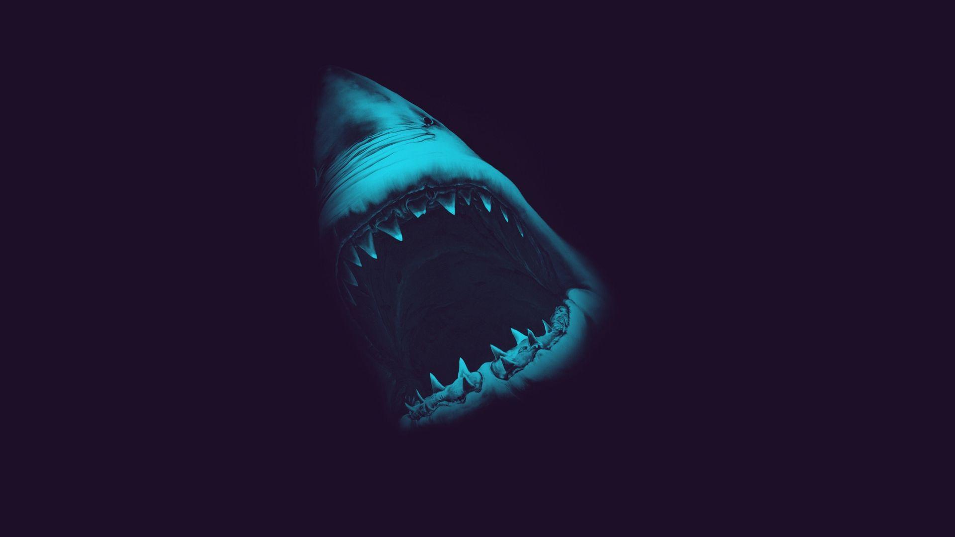 Scary Sharks