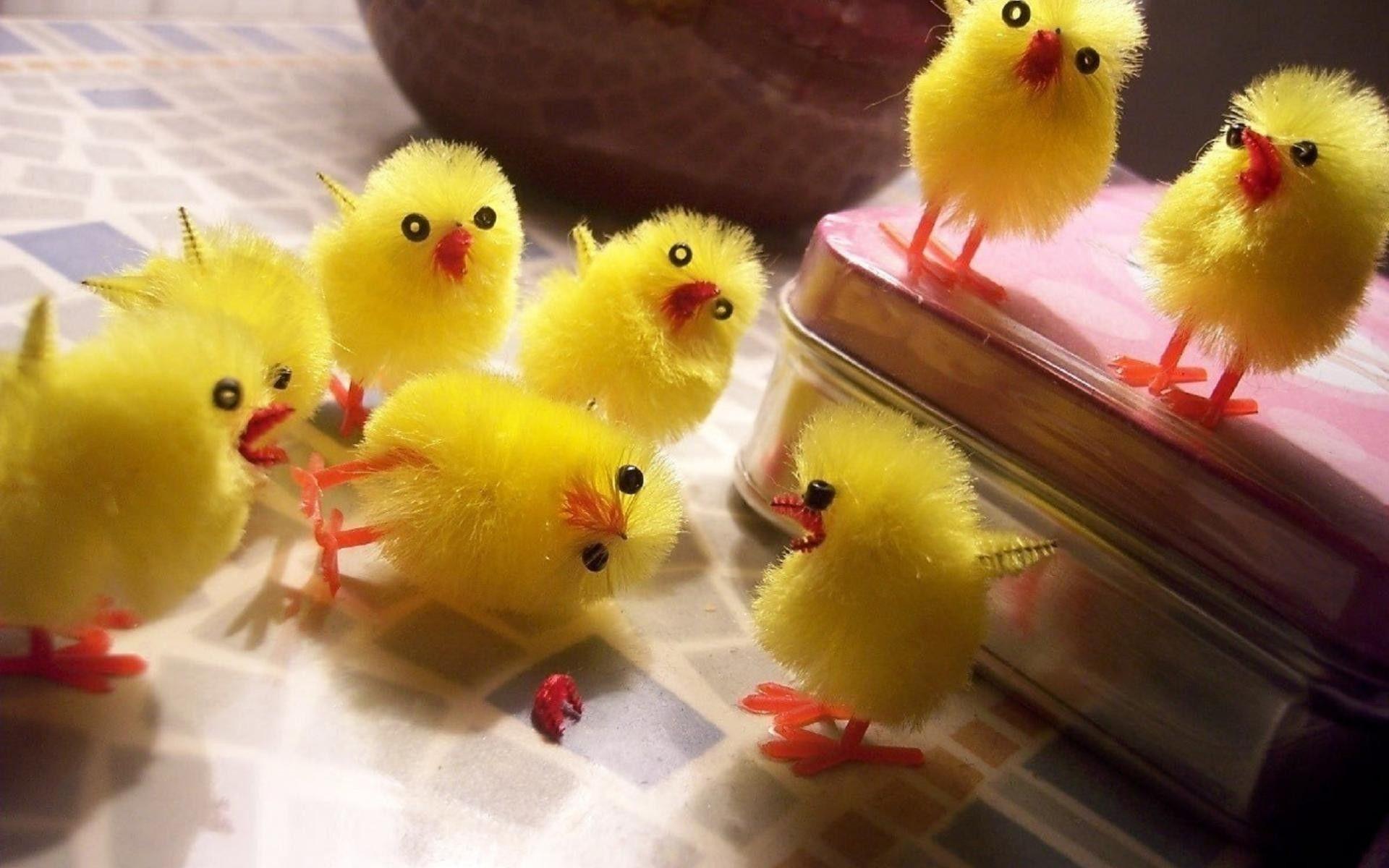1920x1200 Humor Toys Chickens Chicks Cute Easter Birds Image