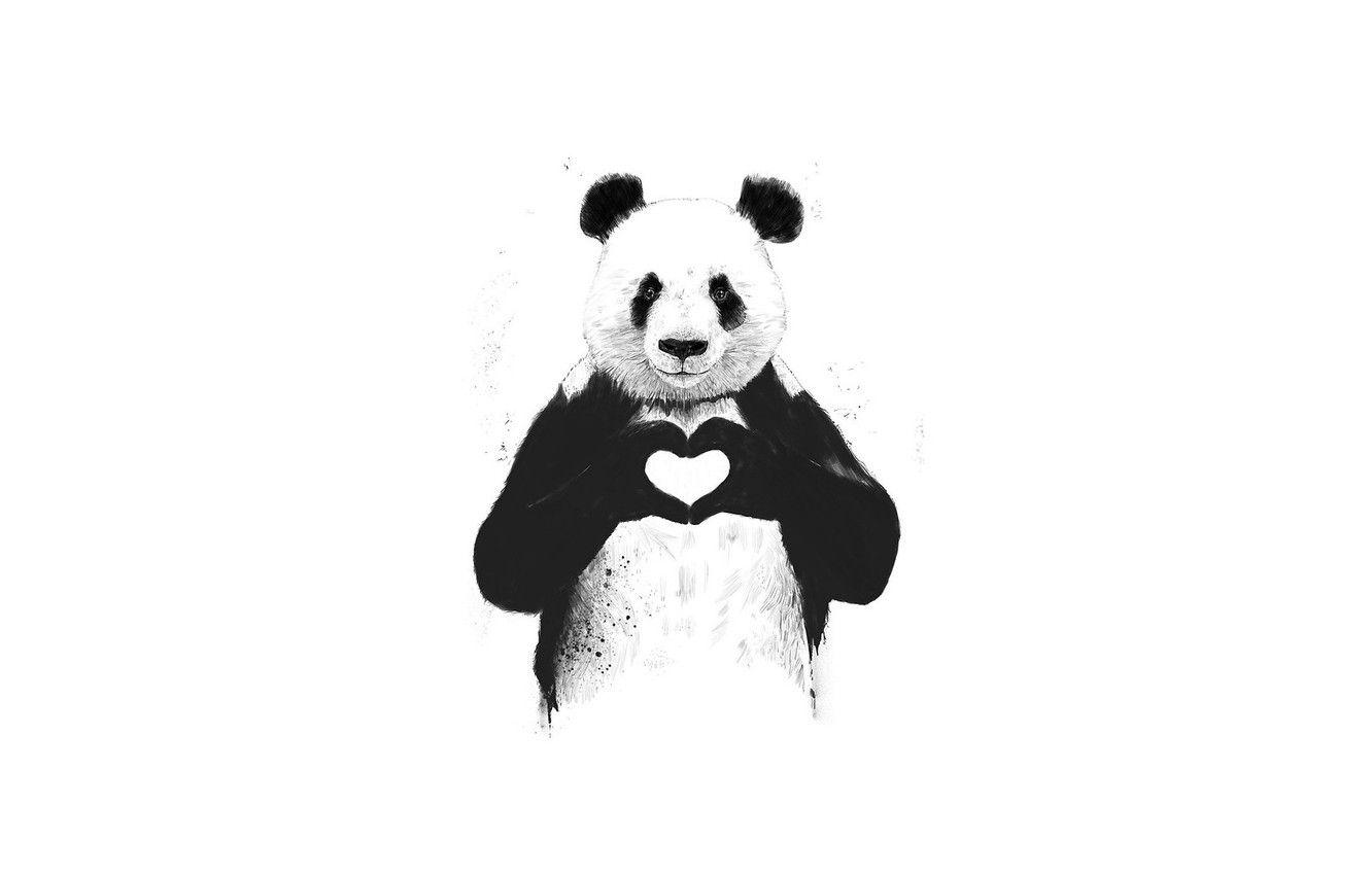 Minimalist Panda Wallpapers - Top Free Minimalist Panda Backgrounds
