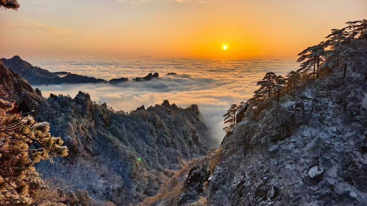 1200x675 This Morning's Sunrise In Huangshan: Golden Light Rising From The Edge Of A Vast Sea Of Clouds, Snow Dusted Valleys Slowly Glowing, And Pines Wearing Both Frost And Sunshine. Come To Huangshan For