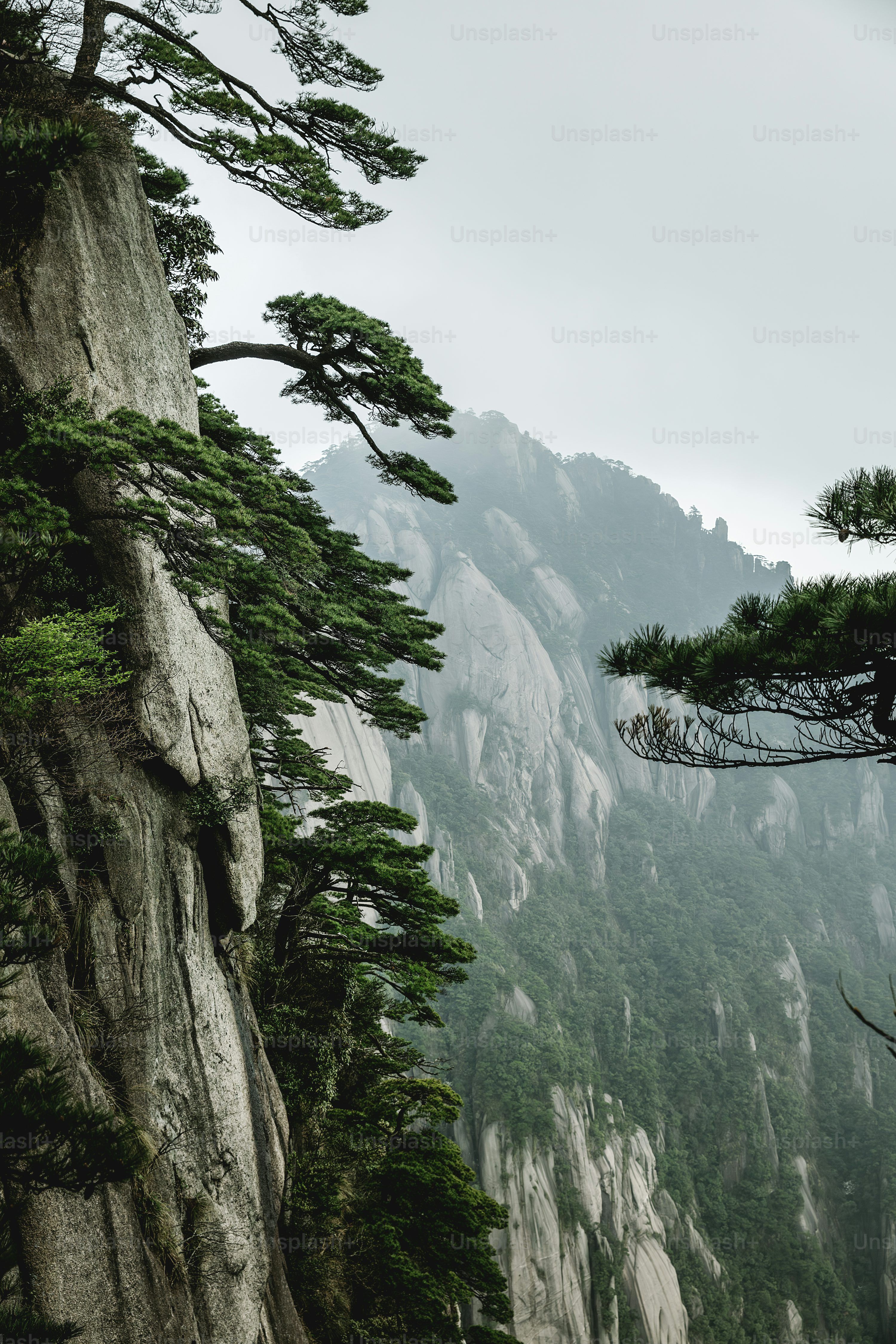 3000x4500 Huangshan Picture. Download Free Image