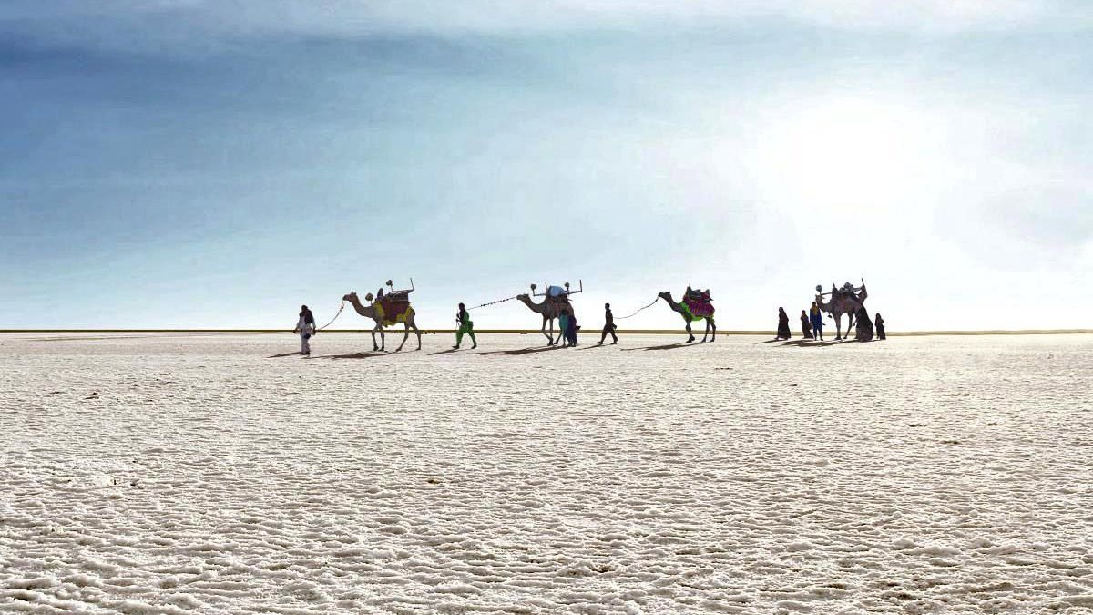 1200x675 Rann Of Kutch Wallpaper