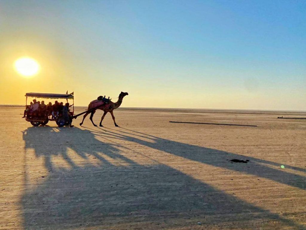 1024x768 Kutch Rann Utsav Opening Date Packages for 2025–2026