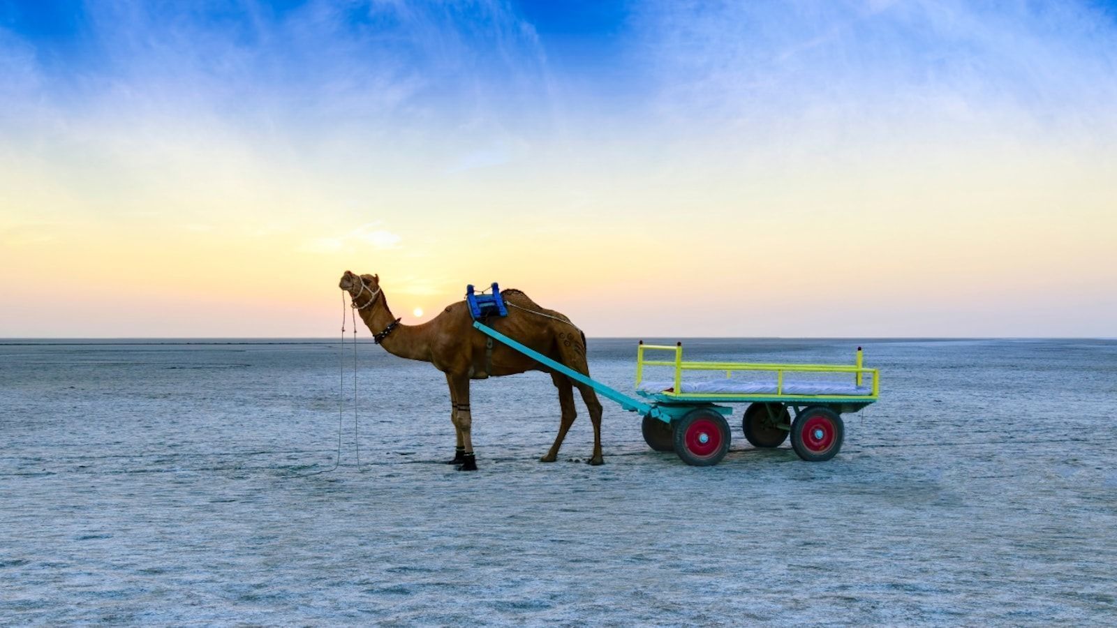 1600x900 Exploring Kutch: The ultimate guide to Gujarat's majestic white desert