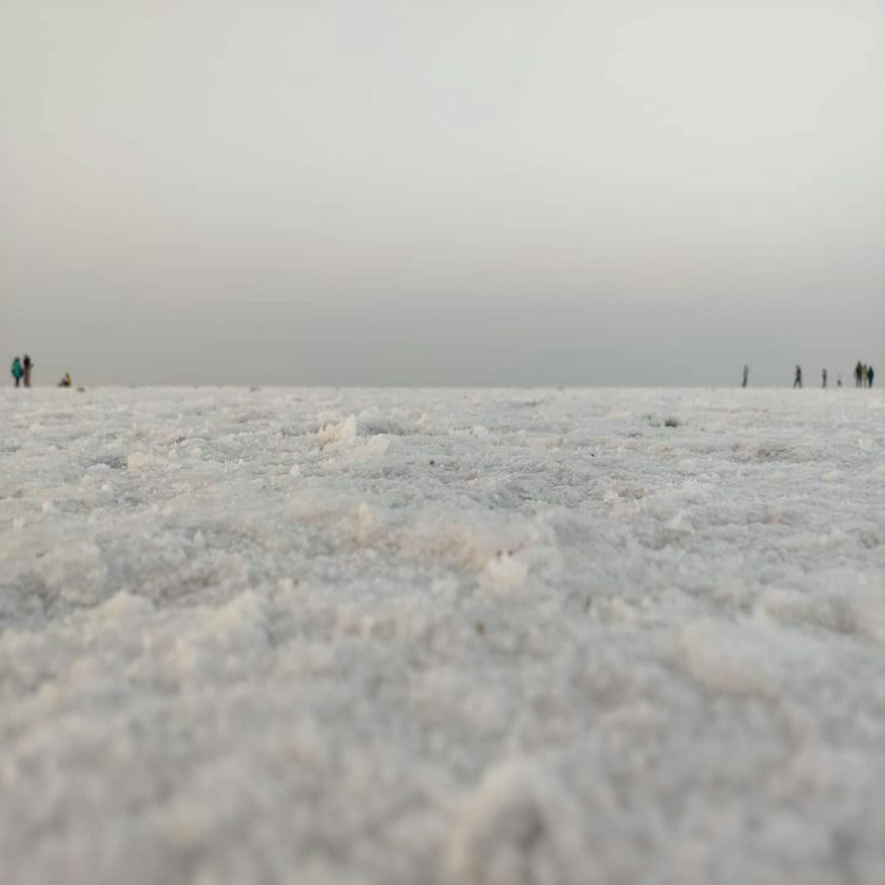 3000x3000 Rann Utsav The Tent City. Photo Community