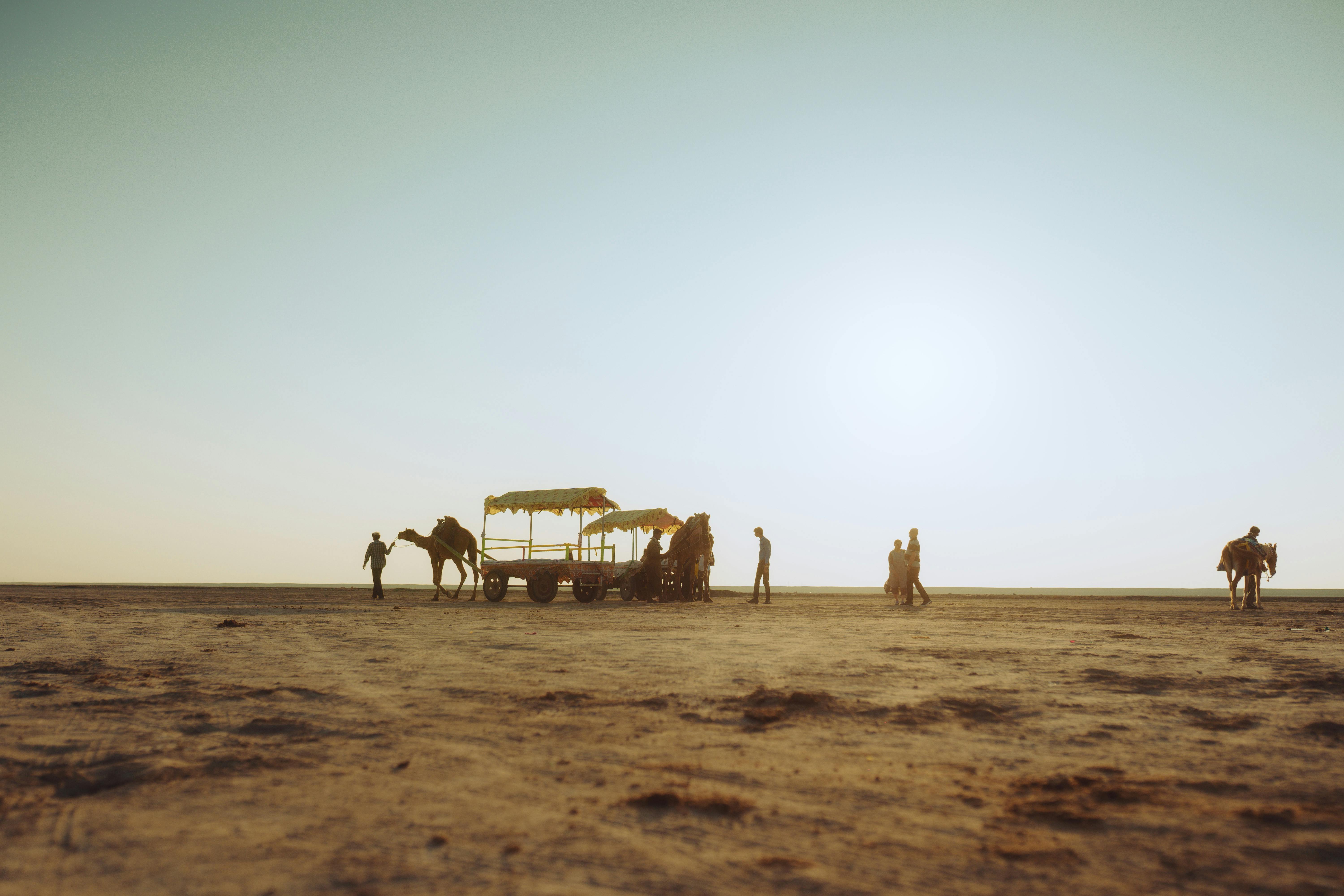 6000x4000 Rann Of Kutch Photo, Download The BEST Free Rann Of Kutch & HD Image