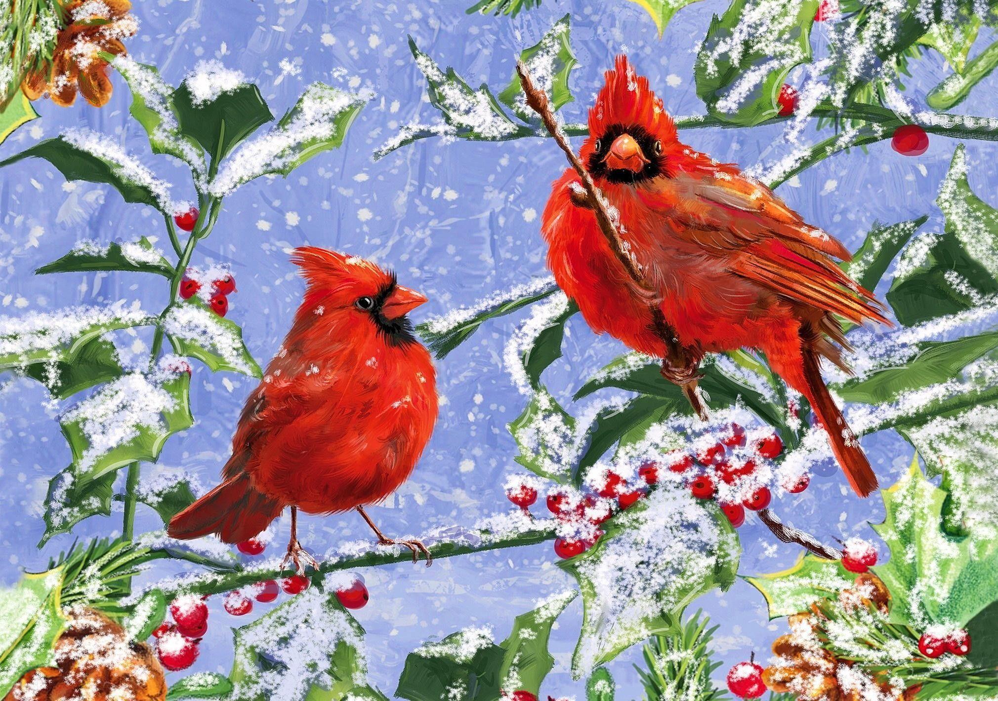 2020x1420 Cardinal Birds in Snow Wallpaper