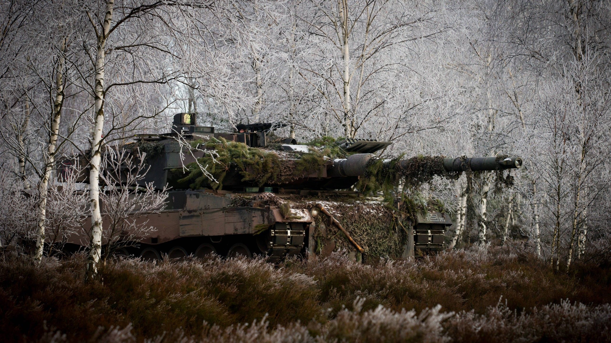 2560x1440 military, Tank, Leopard Bundeswehr Wallpaper HD / Desktop and Mobile Background
