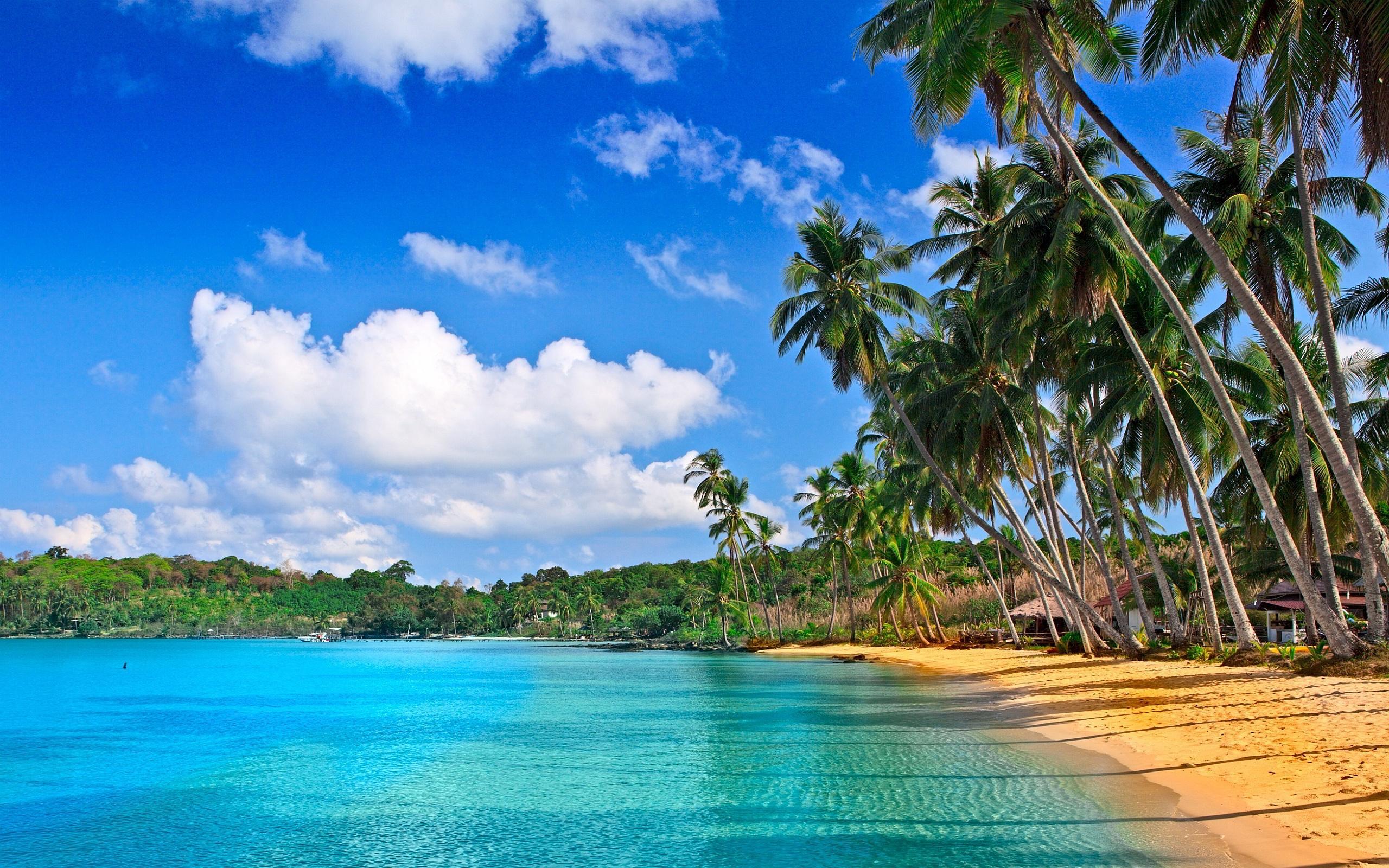 2560x1600 Tropical - Bãi biển nhiệt đới có độ phân giải cao, Hình nền HD