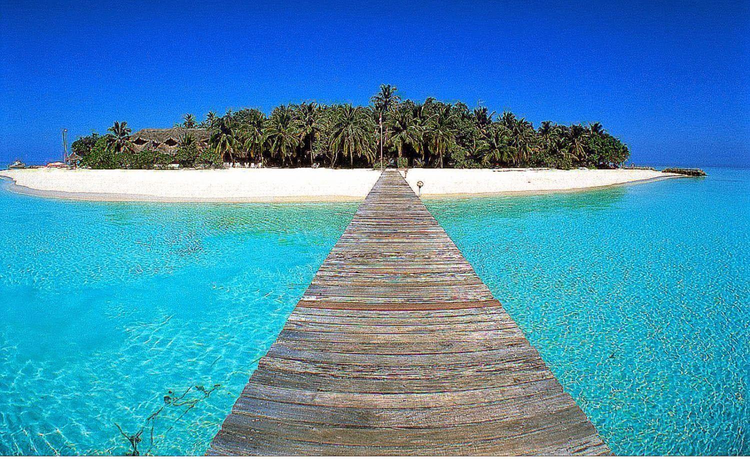1500x917 Bãi biển nhiệt đới White Sand Paradise Hình nền HD.  Tiểu sử