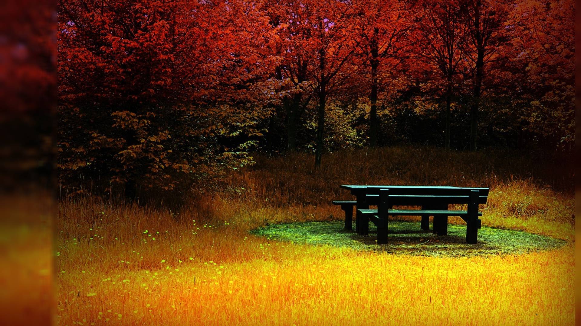 1920x1080 Full HD Desktop Wallpaper 1920x1080