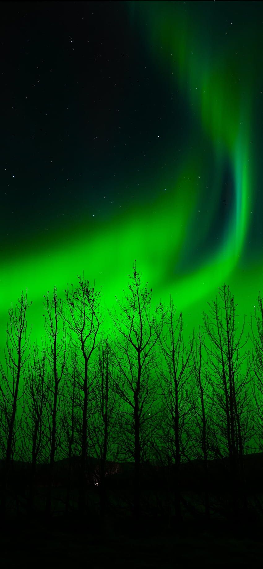 850x1840 Purple and green light in dark room iPhone X, greenlight HD phone wallpaper