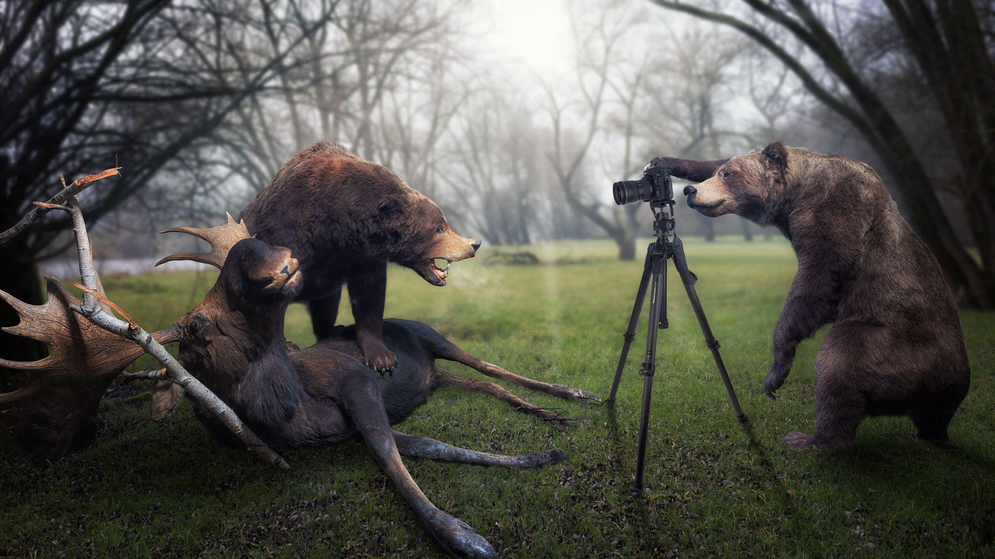2000x1125 trophy, Moose, Photographer, Bear Wallpaper HD / Desktop