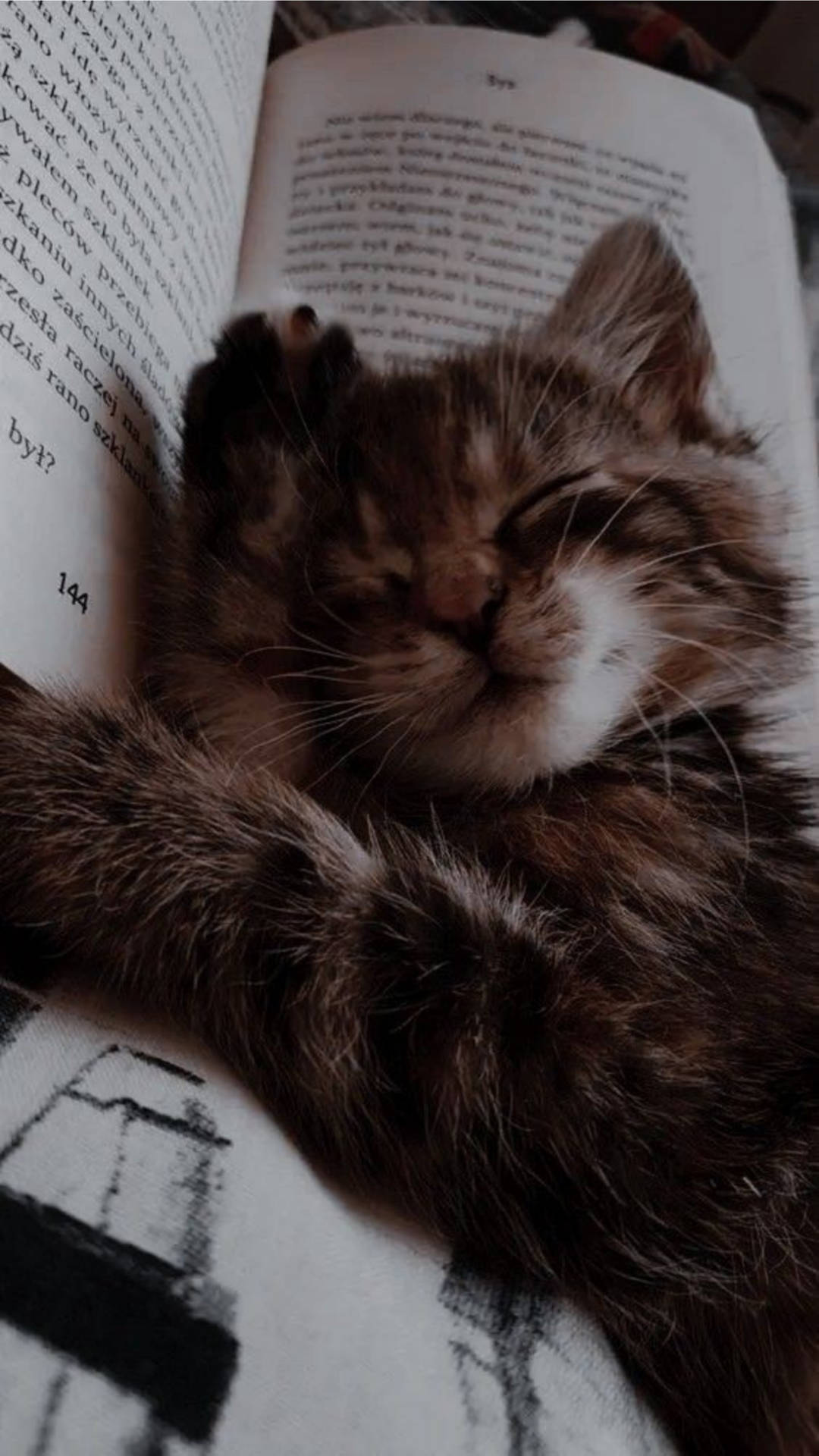 1080x1920 Download A Tranquil Moment Cat Aesthetically Sleeping on a Book Wallpaper