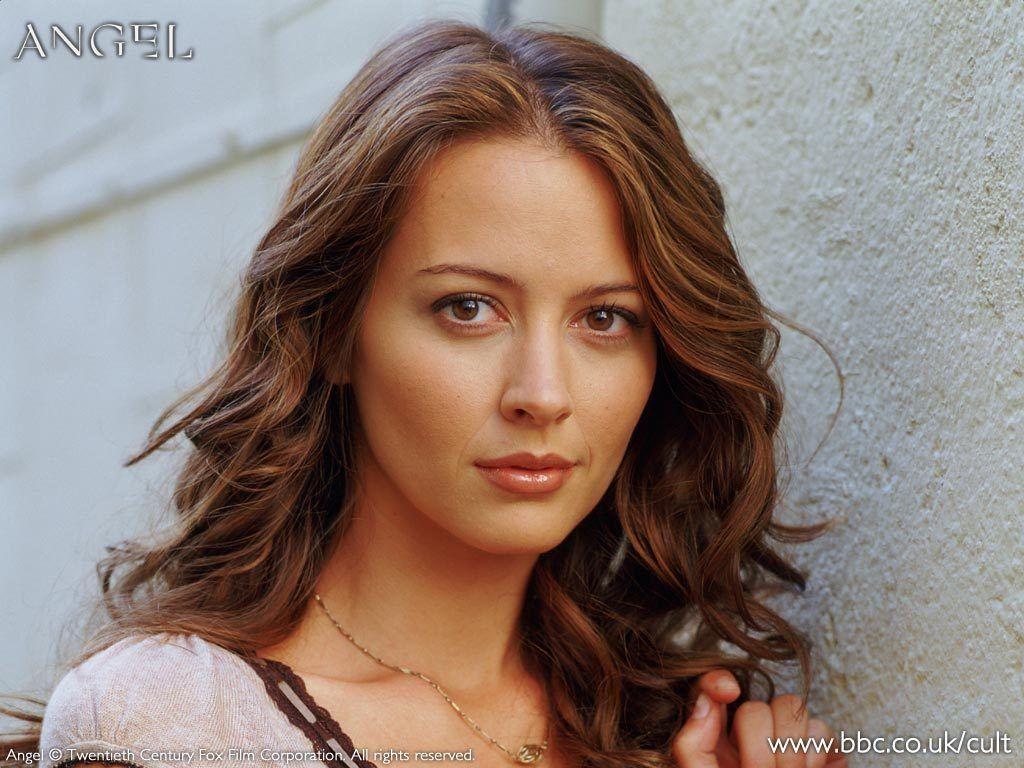 1024x768 Amy Acker wallpaper, Celebrity, HQ Amy Acker pictureK