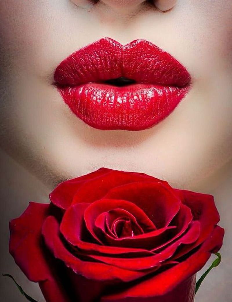 800x1041 Lip and rose, HD phone wallpaper