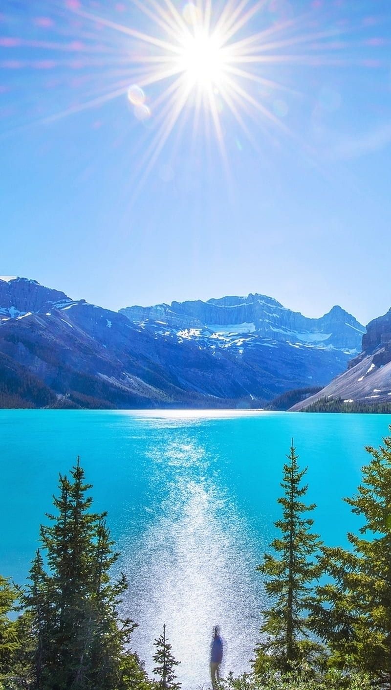 800x1411 Sun Bright, lake, nature, summer, HD phone wallpaper