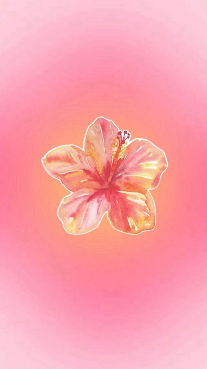 675x1200 Pink Hibiscus Wallpaper