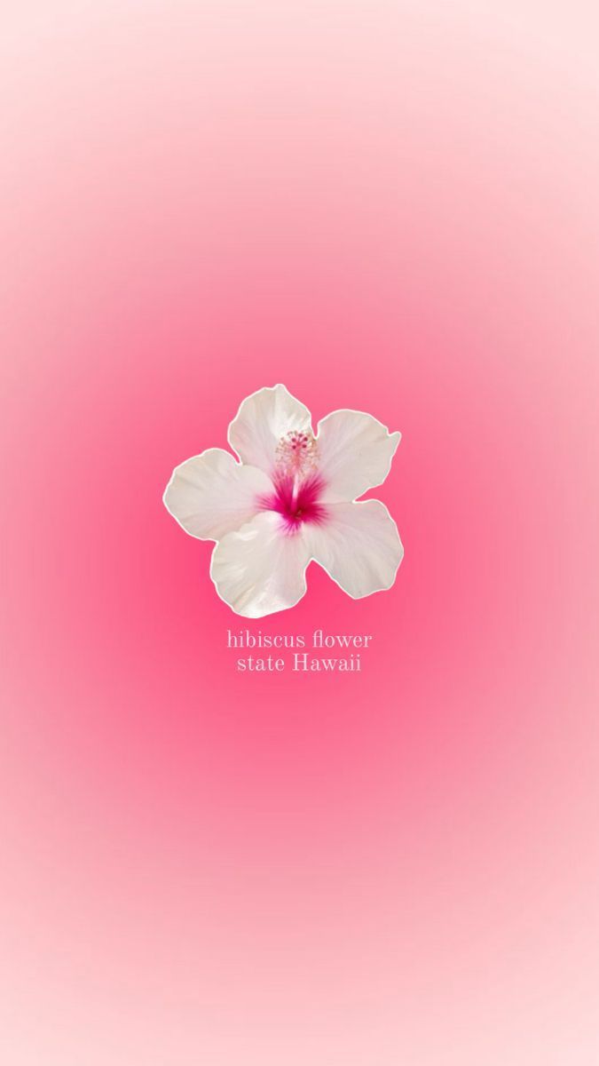 675x1200 hibiscus #hawaii #pink #aura #vibe #flower #wallpaper #sea #aestetics