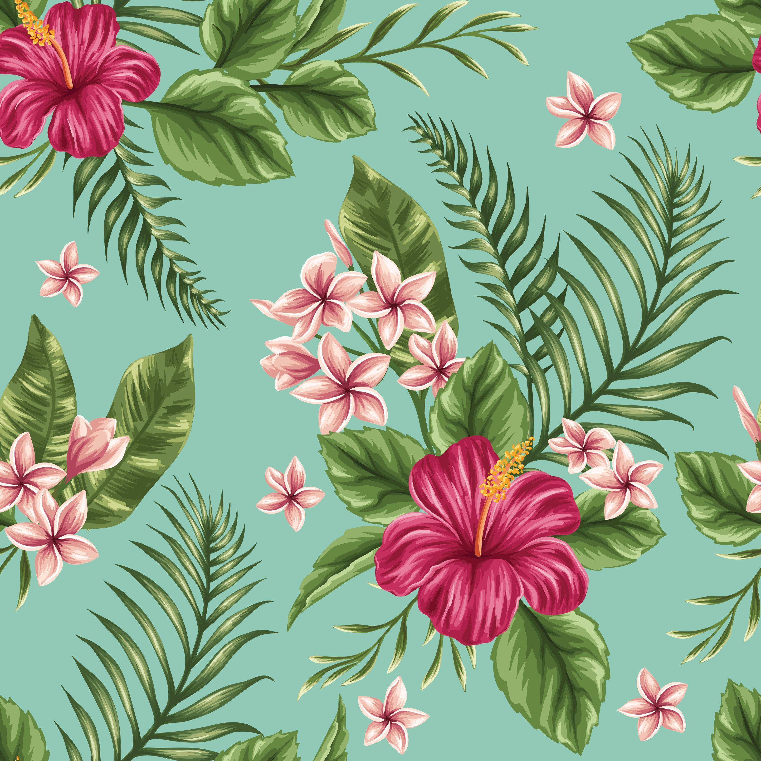 3200x3200 Pink Hibiscus