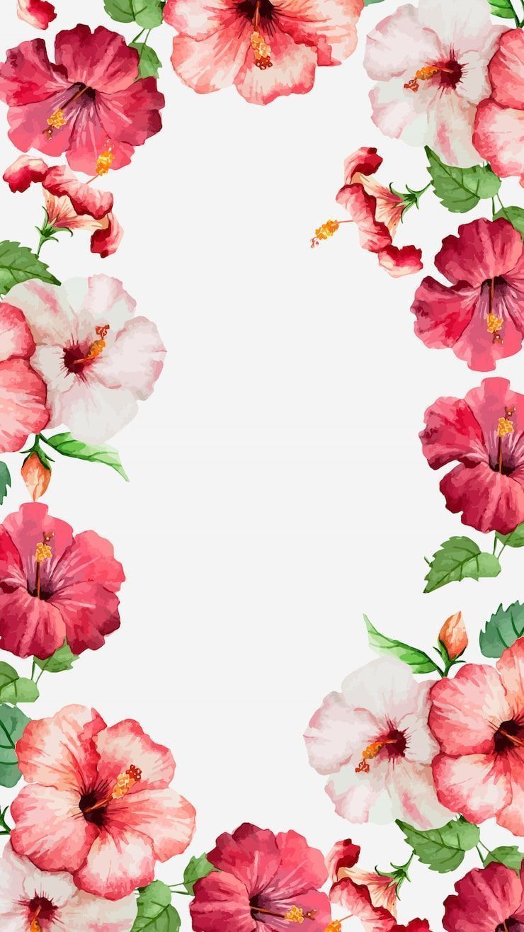 740x1316 Hibiscus wallpaper Image