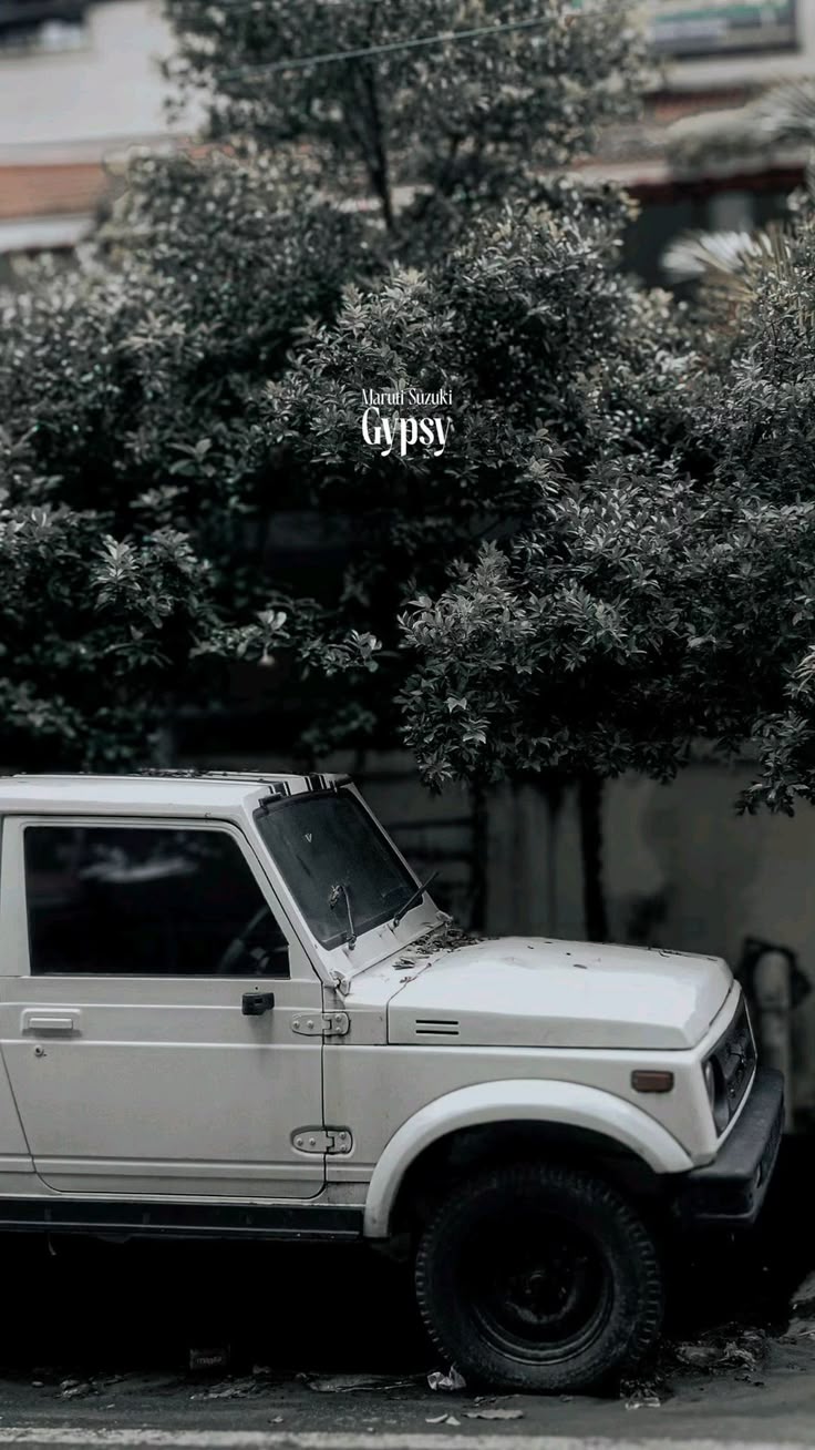 736x1308 gypsy car