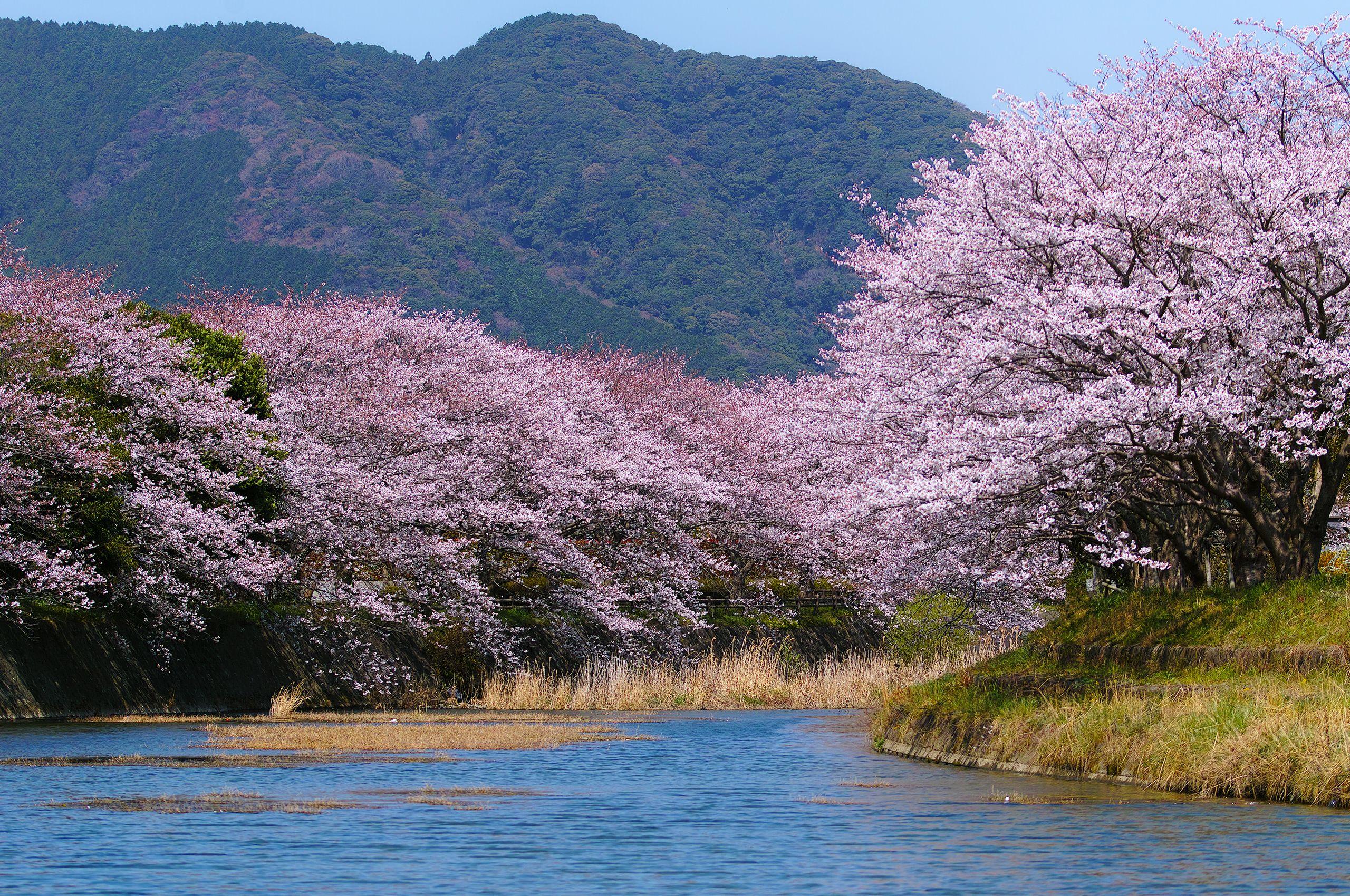 Japan Mountain River Wallpaper