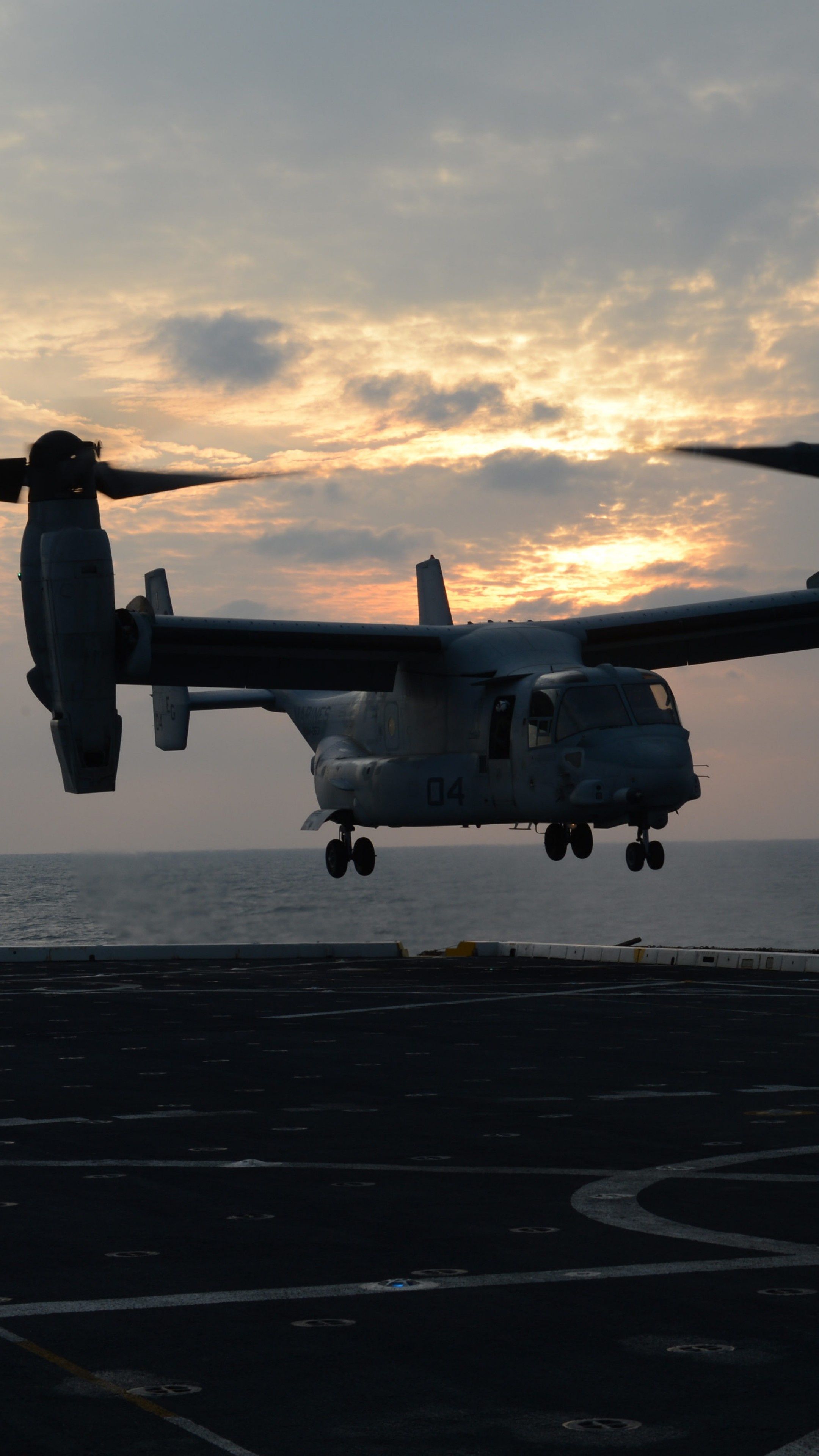 2160x3840 V 22 Osprey Wallpaper