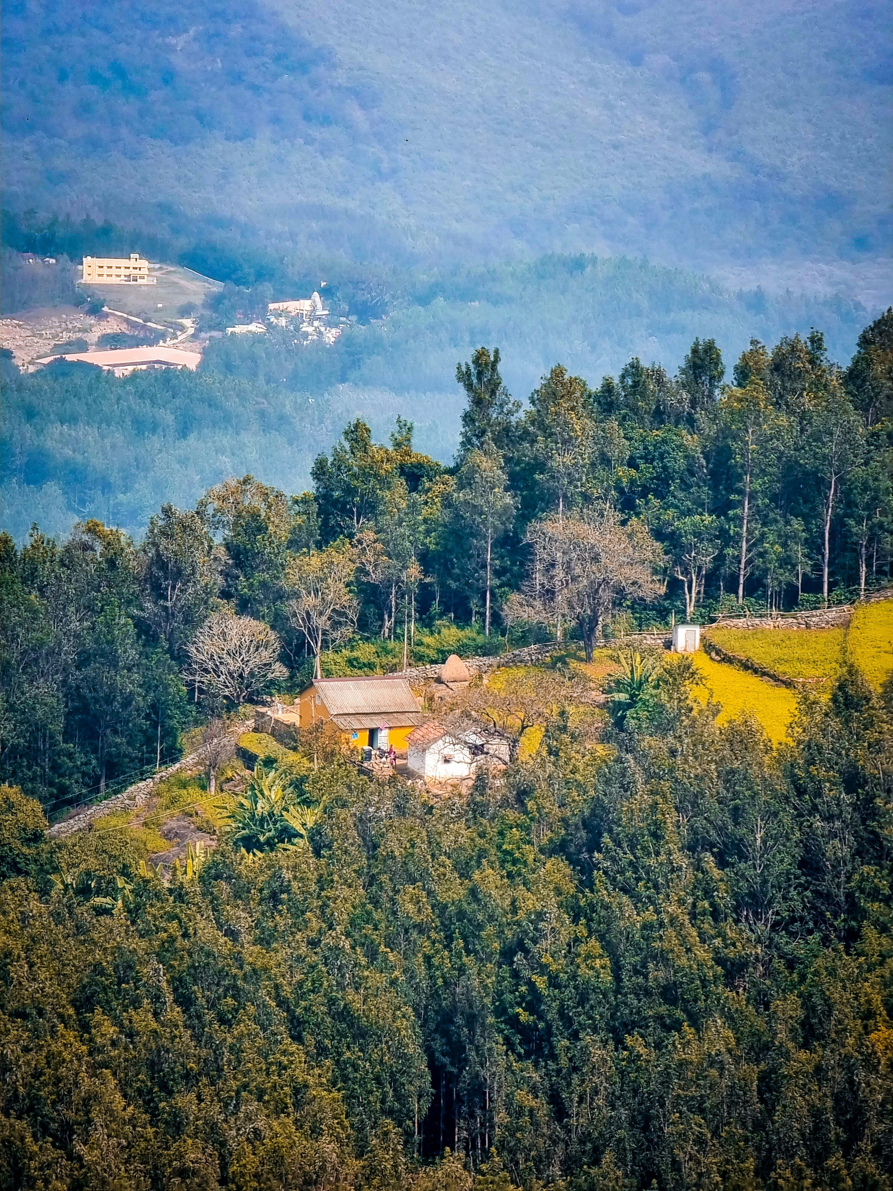 3000x4000 Yercaud Picture. Download Free Image