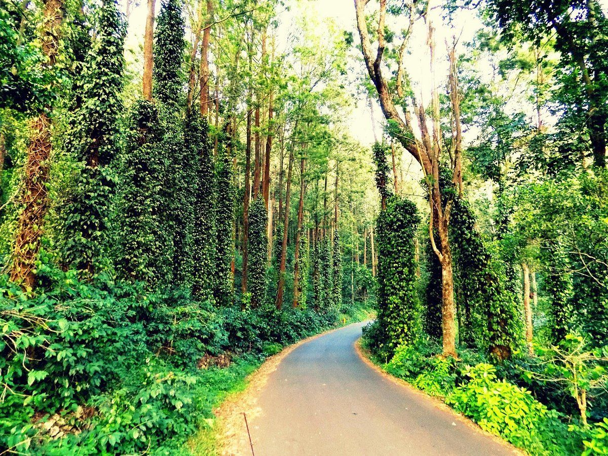 1200x900 THE 10 BEST Hotels in Yercaud, India 2026 (from $14)