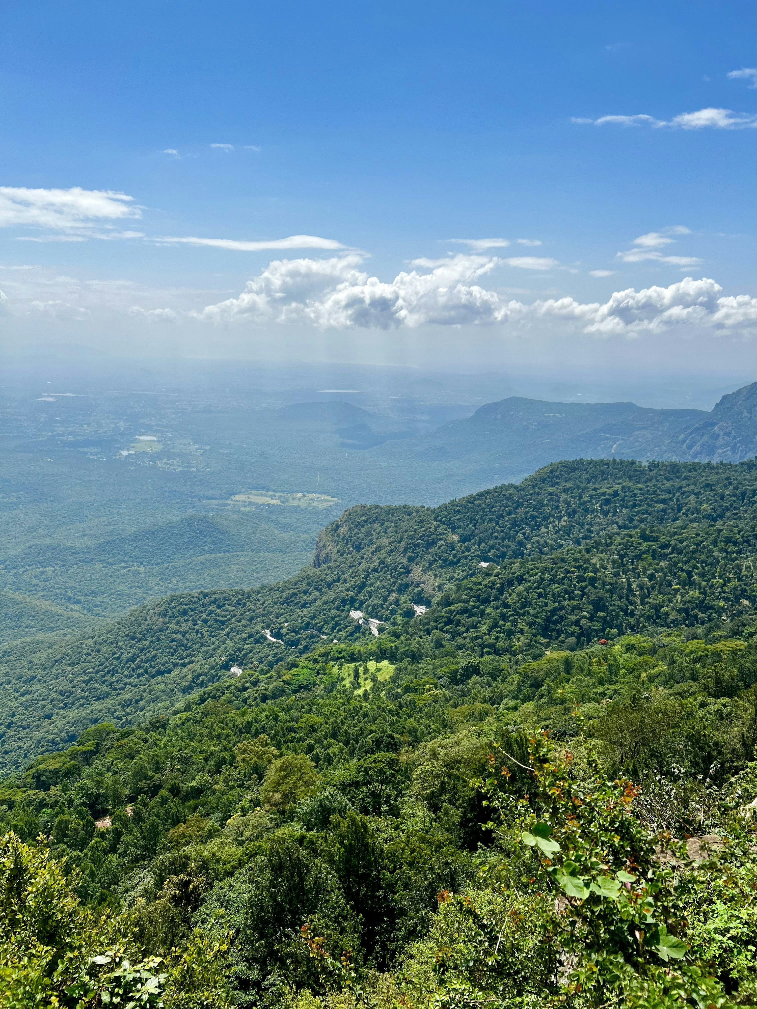 3000x4000 Yercaud Picture. Download Free Image