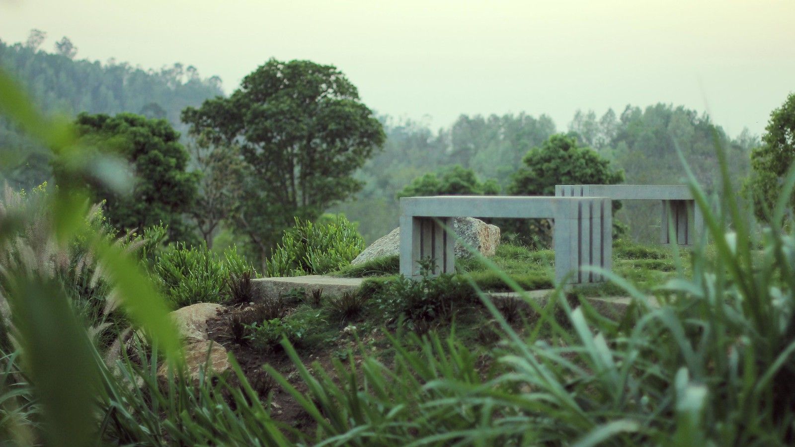 1600x900 Some place in Yercaud. Vimeo I Behance