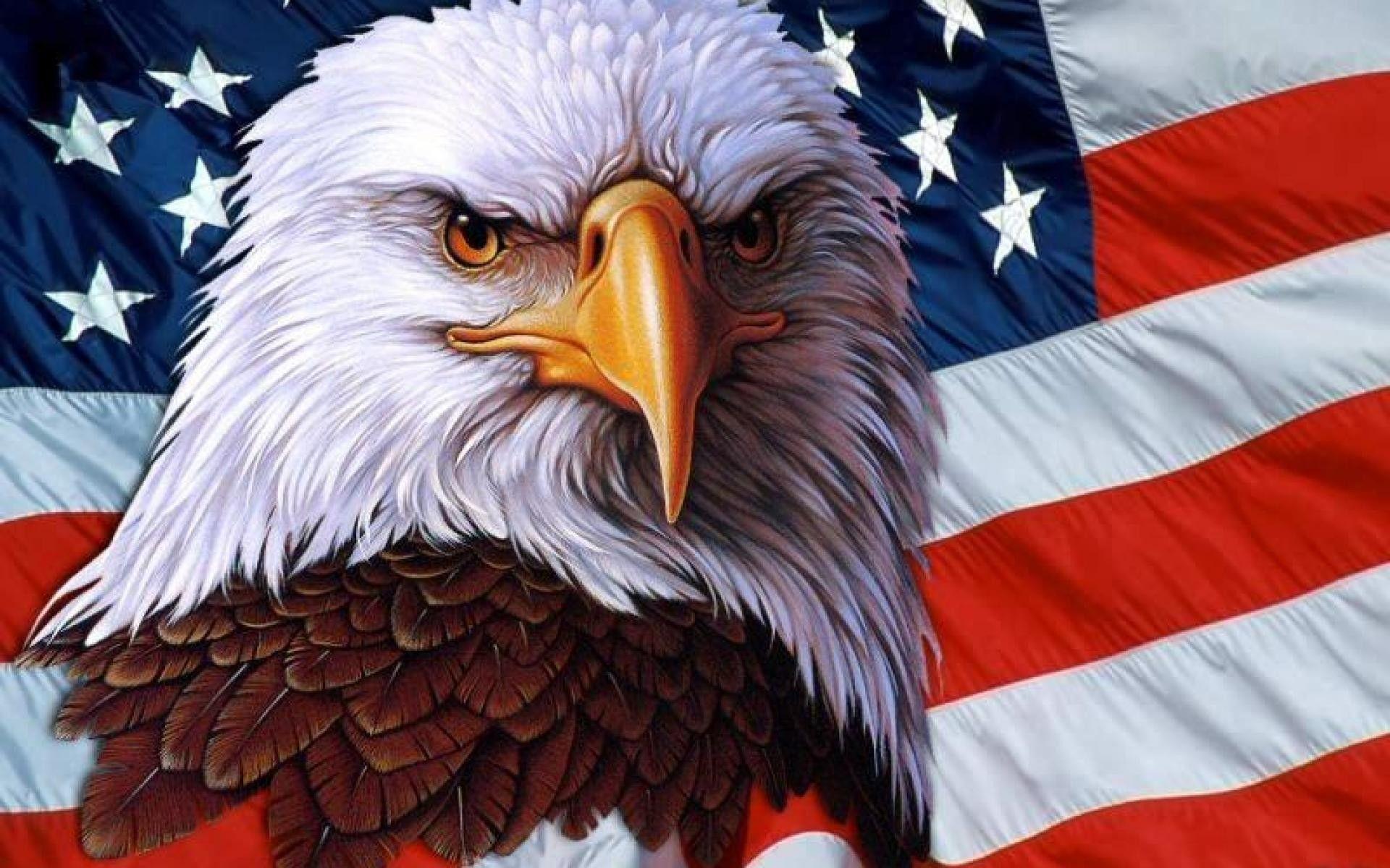 Download Eagle Bird America RoyaltyFree Stock Illustration Image  Pixabay