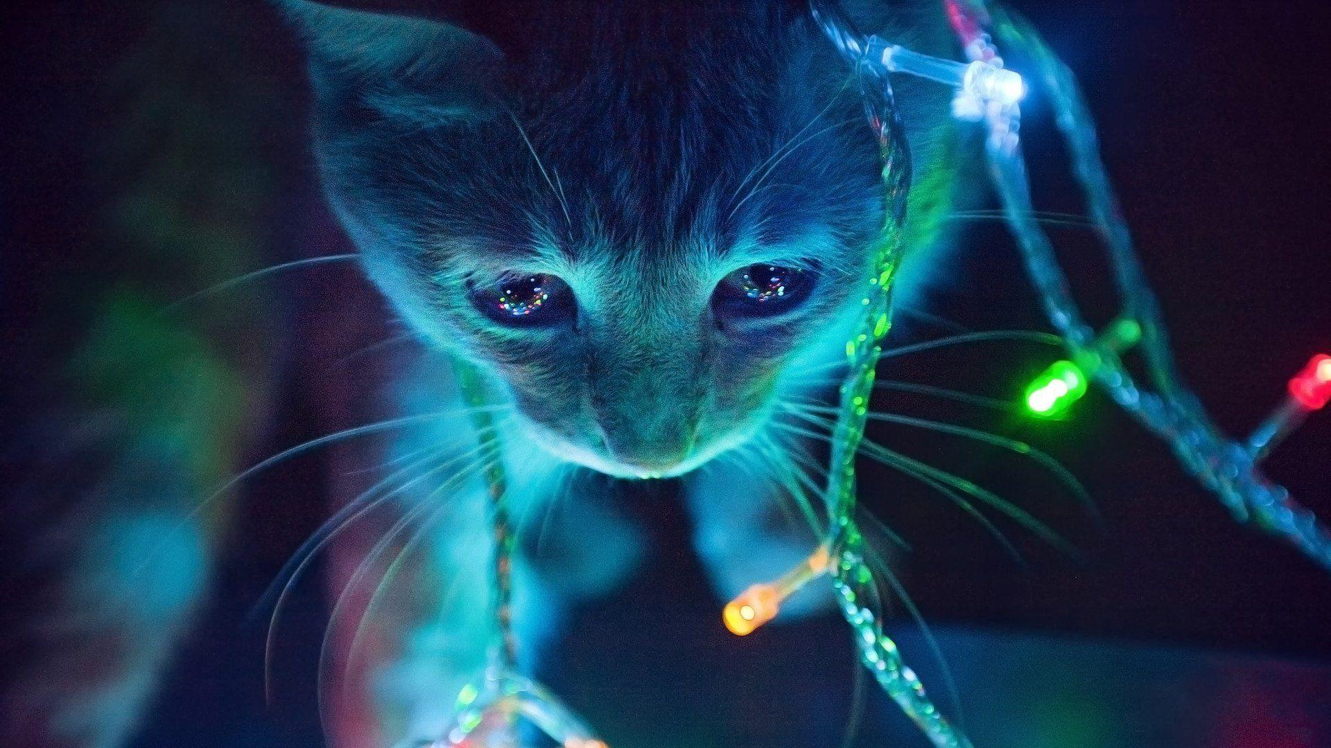 1920x1080 Neon Lights Desktop Background