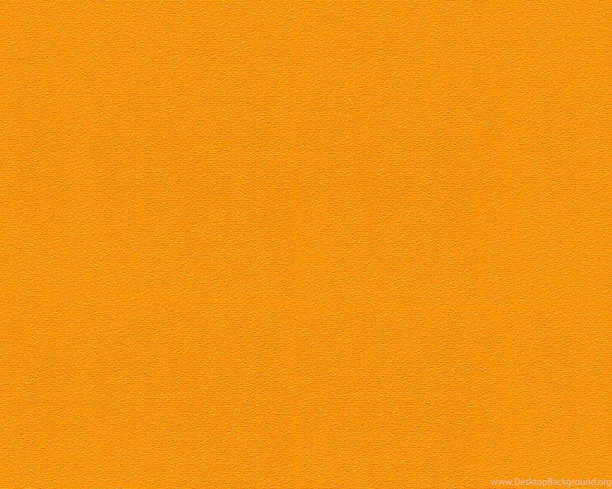 Wallpaper Orange Plain Images  Free Photos PNG Stickers Wallpapers   Backgrounds  rawpixel