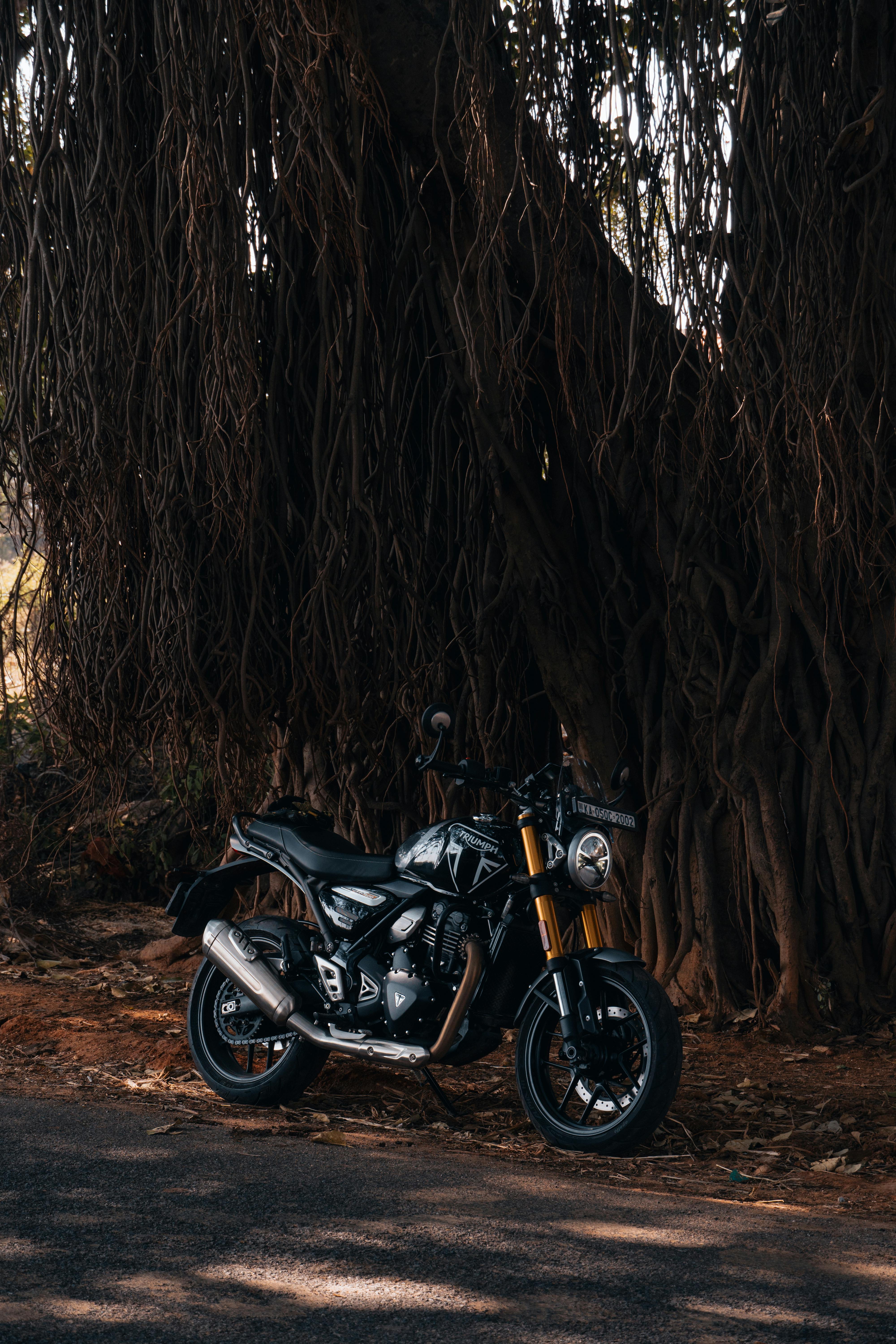 4000x6000 Triumph Speed 400 · Free
