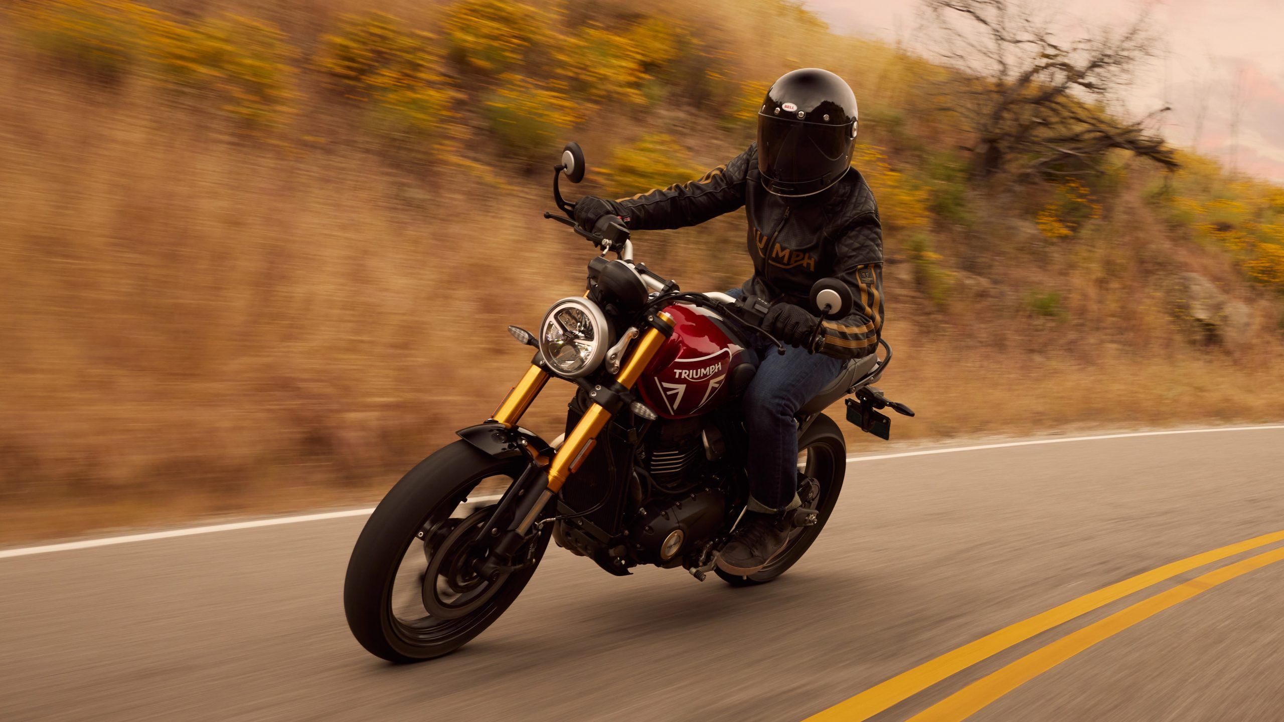 2560x1440 Triumph Speed 400 Photo
