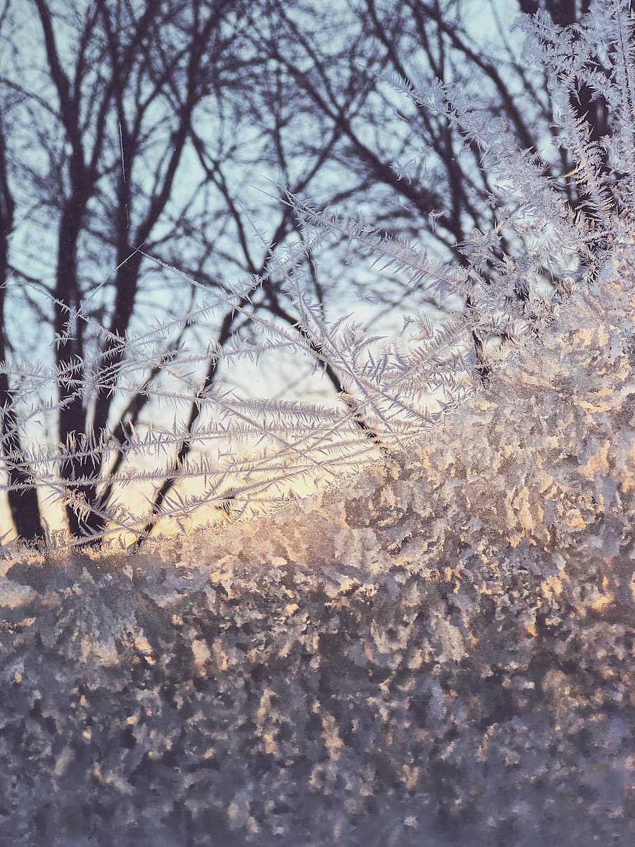 910x1213 HD wallpaper: montreal, canada, frozen, snow, ice, christmas