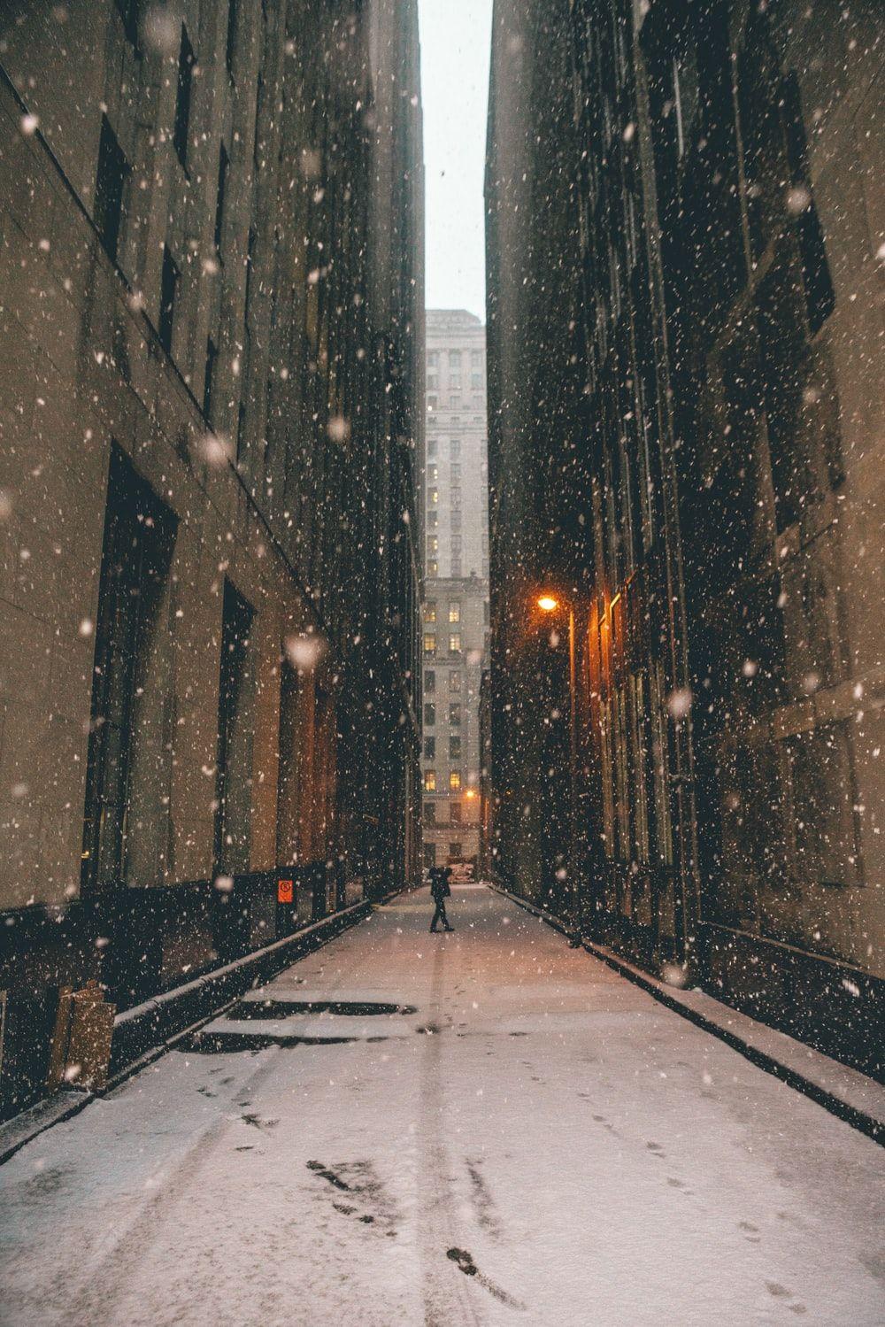 1000x1499 Snow Storm, Montreal, Canada Picture. Download Free Image
